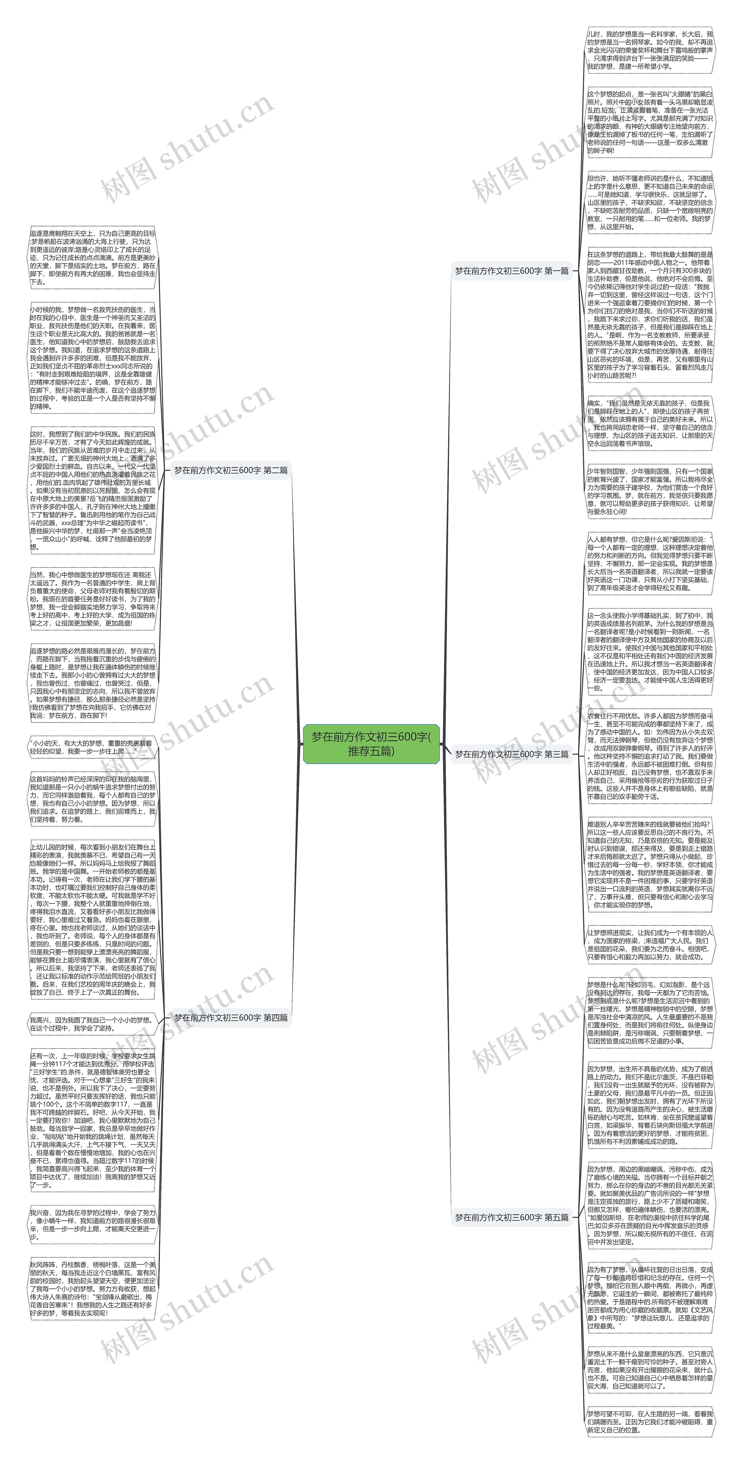 梦在前方作文初三600字(推荐五篇)思维导图