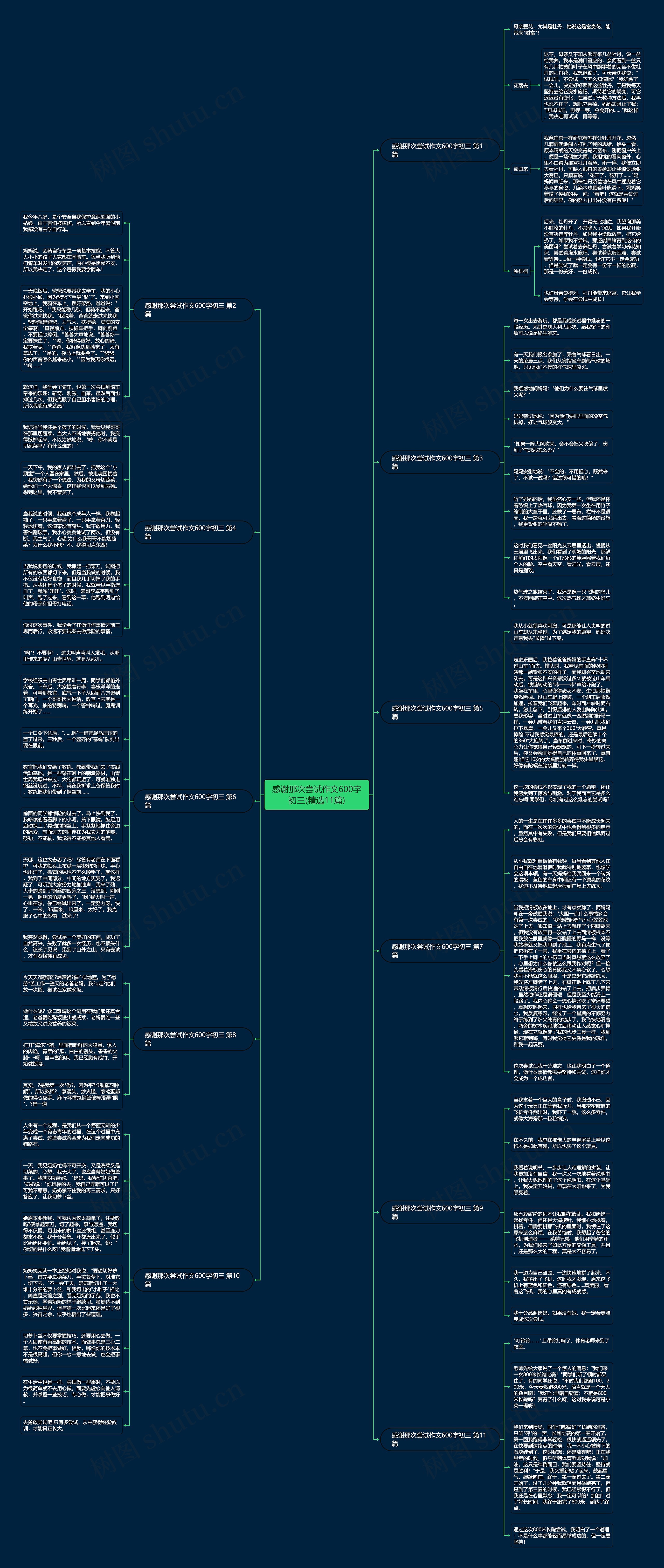 感谢那次尝试作文600字初三(精选11篇)思维导图