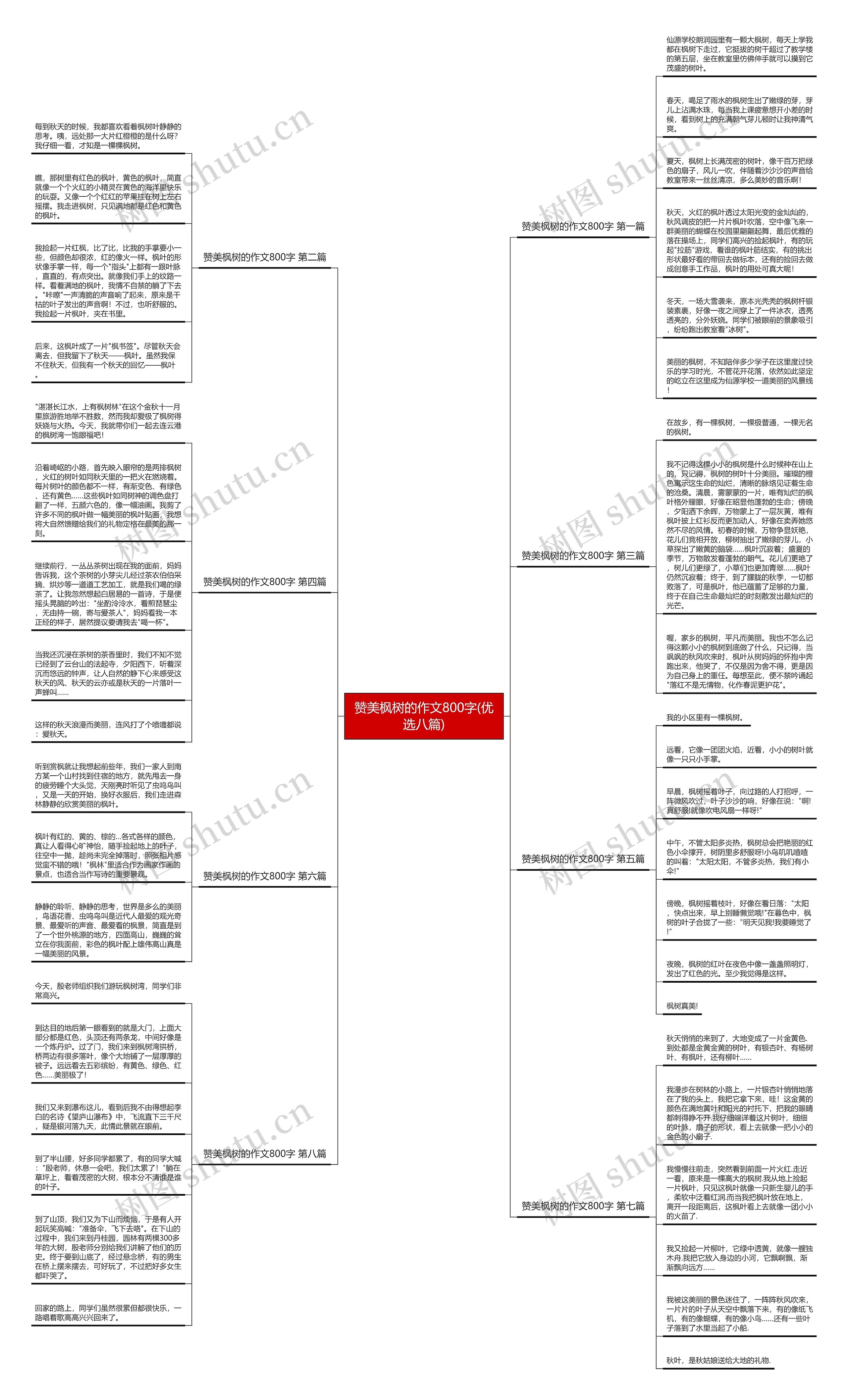 赞美枫树的作文800字(优选八篇)思维导图