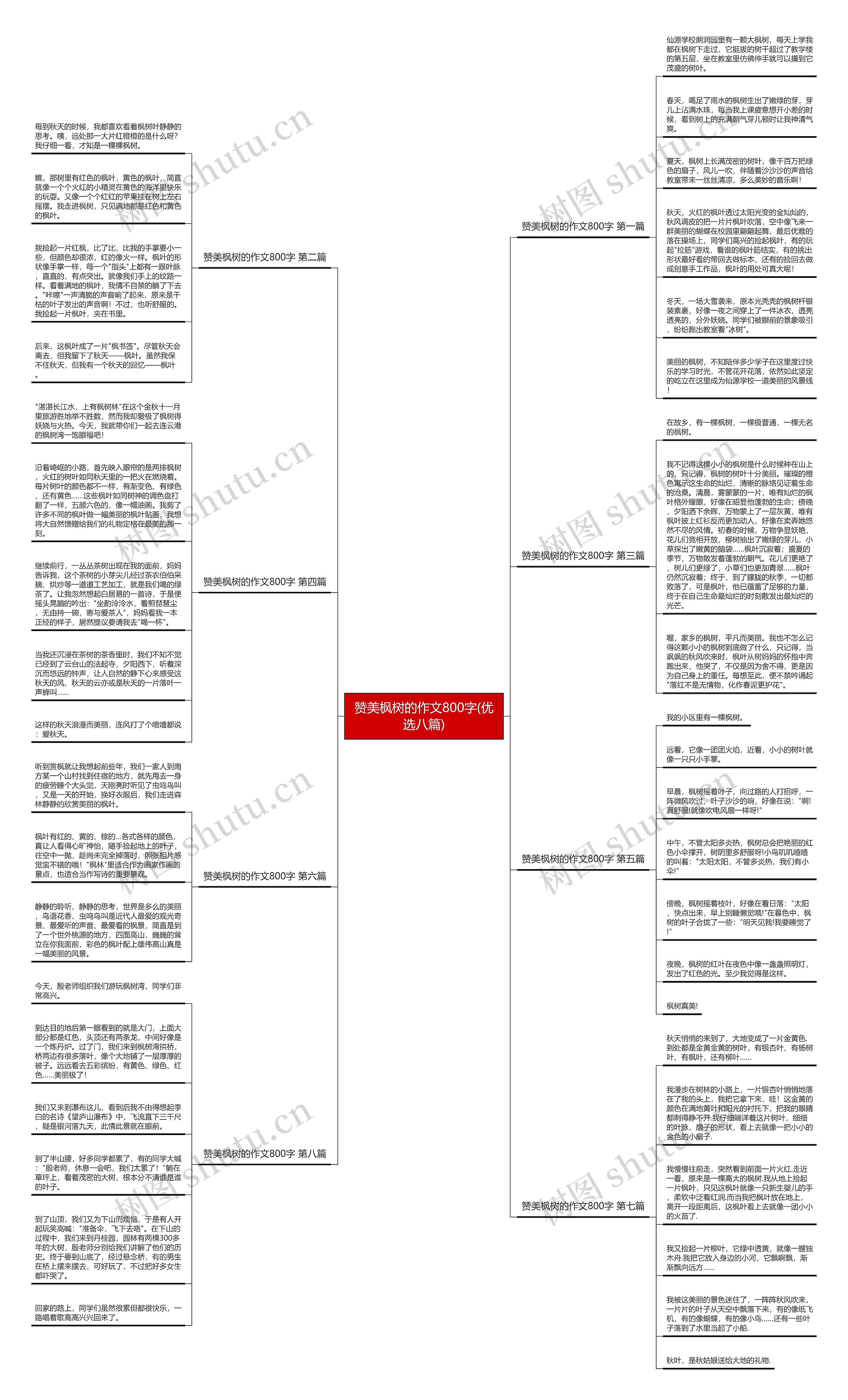 赞美枫树的作文800字(优选八篇) 赞美枫树的作文800字(优选八篇)