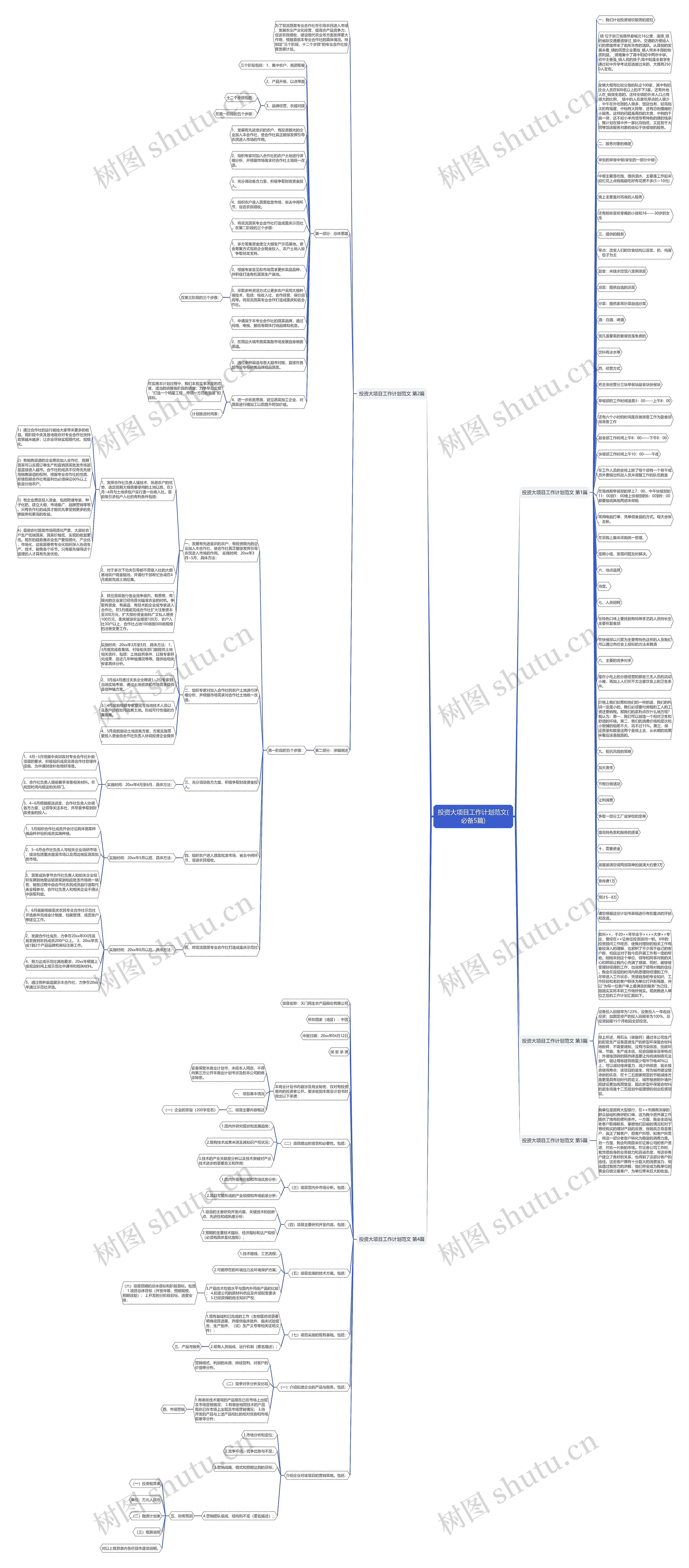 投资大项目工作计划范文(必备5篇)思维导图