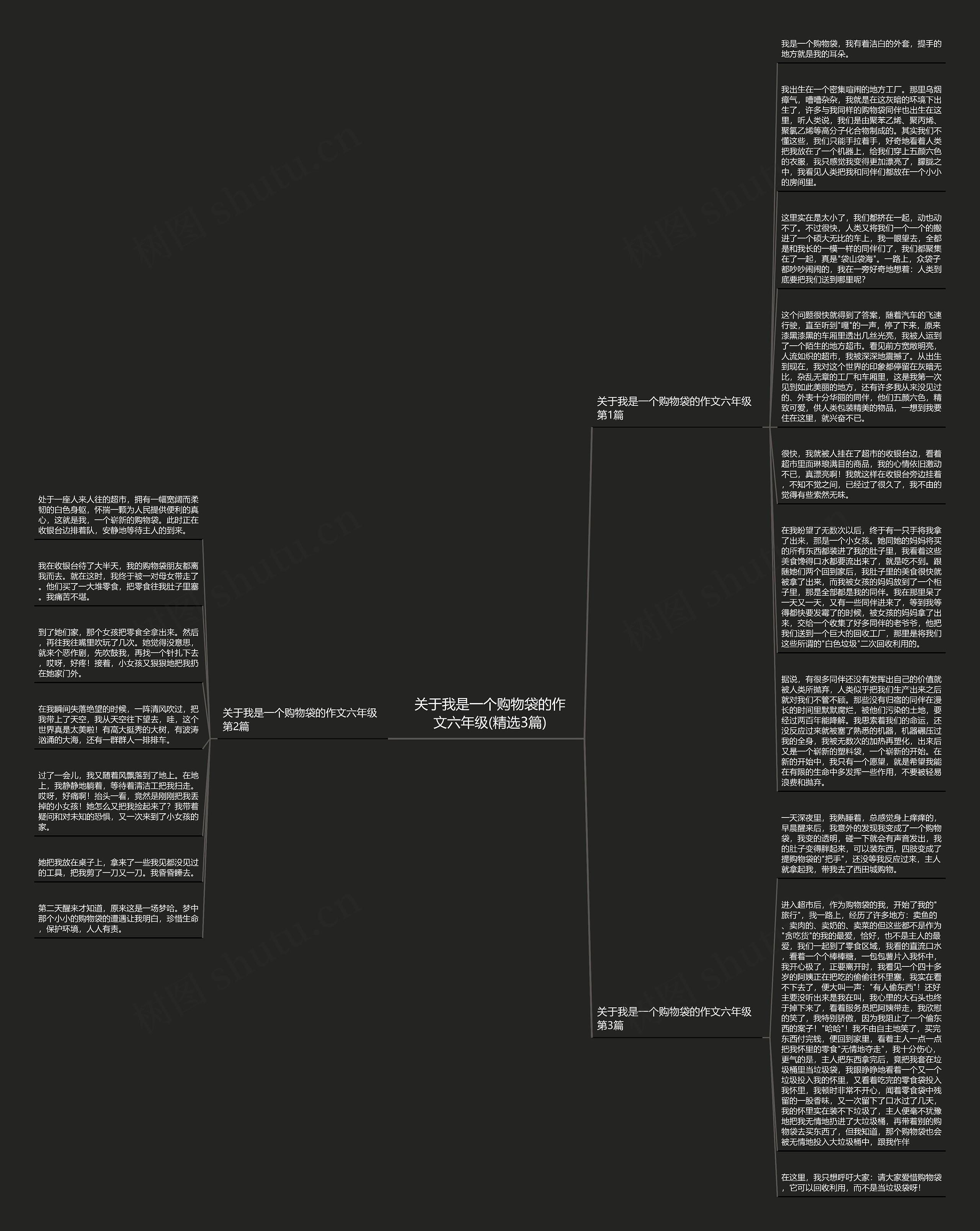 关于我是一个购物袋的作文六年级(精选3篇)思维导图