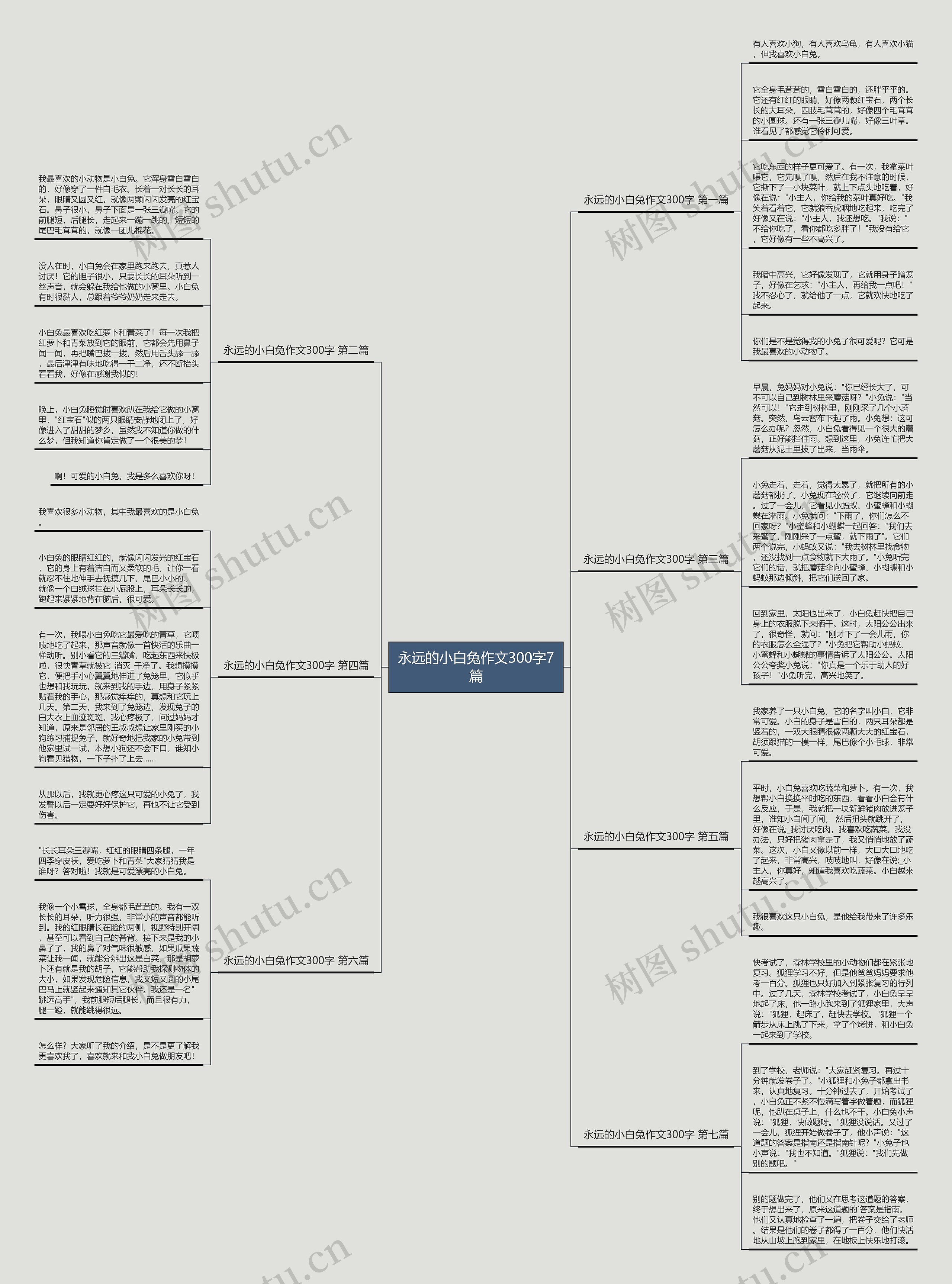 永远的小白兔作文300字7篇 永远的小白兔作文300字7篇