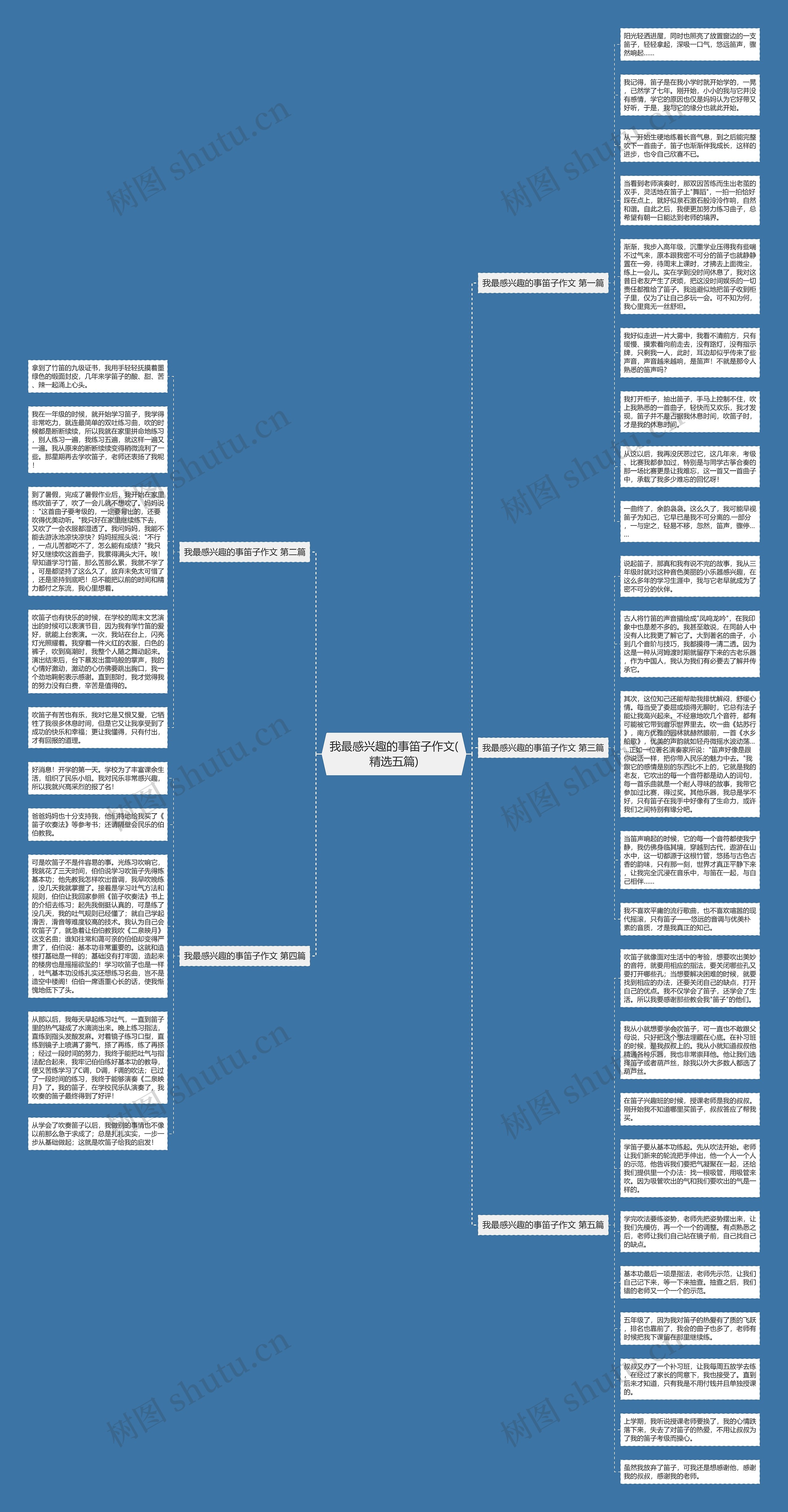 我最感兴趣的事笛子作文(精选五篇)思维导图