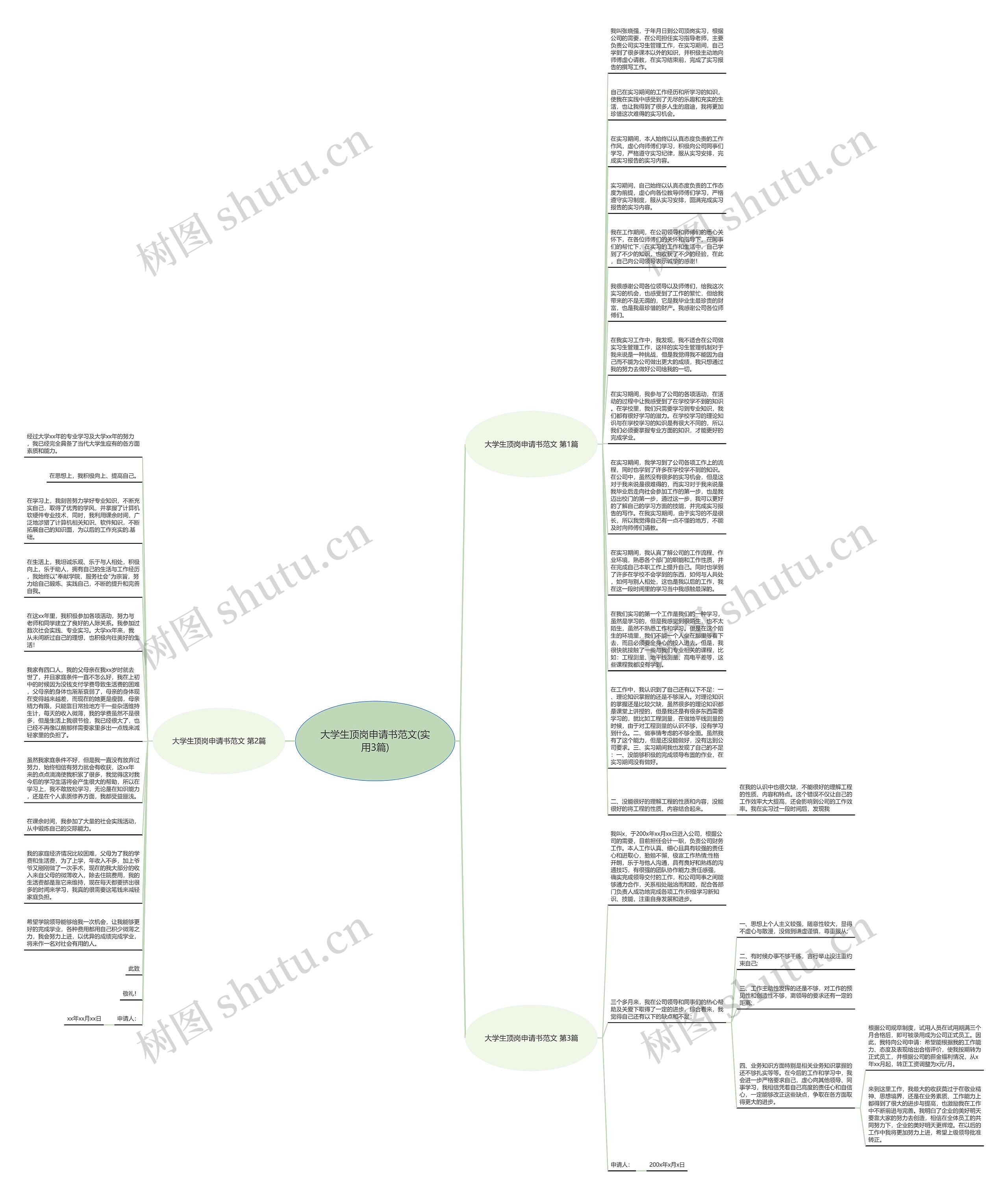 大学生顶岗申请书范文(实用3篇)思维导图