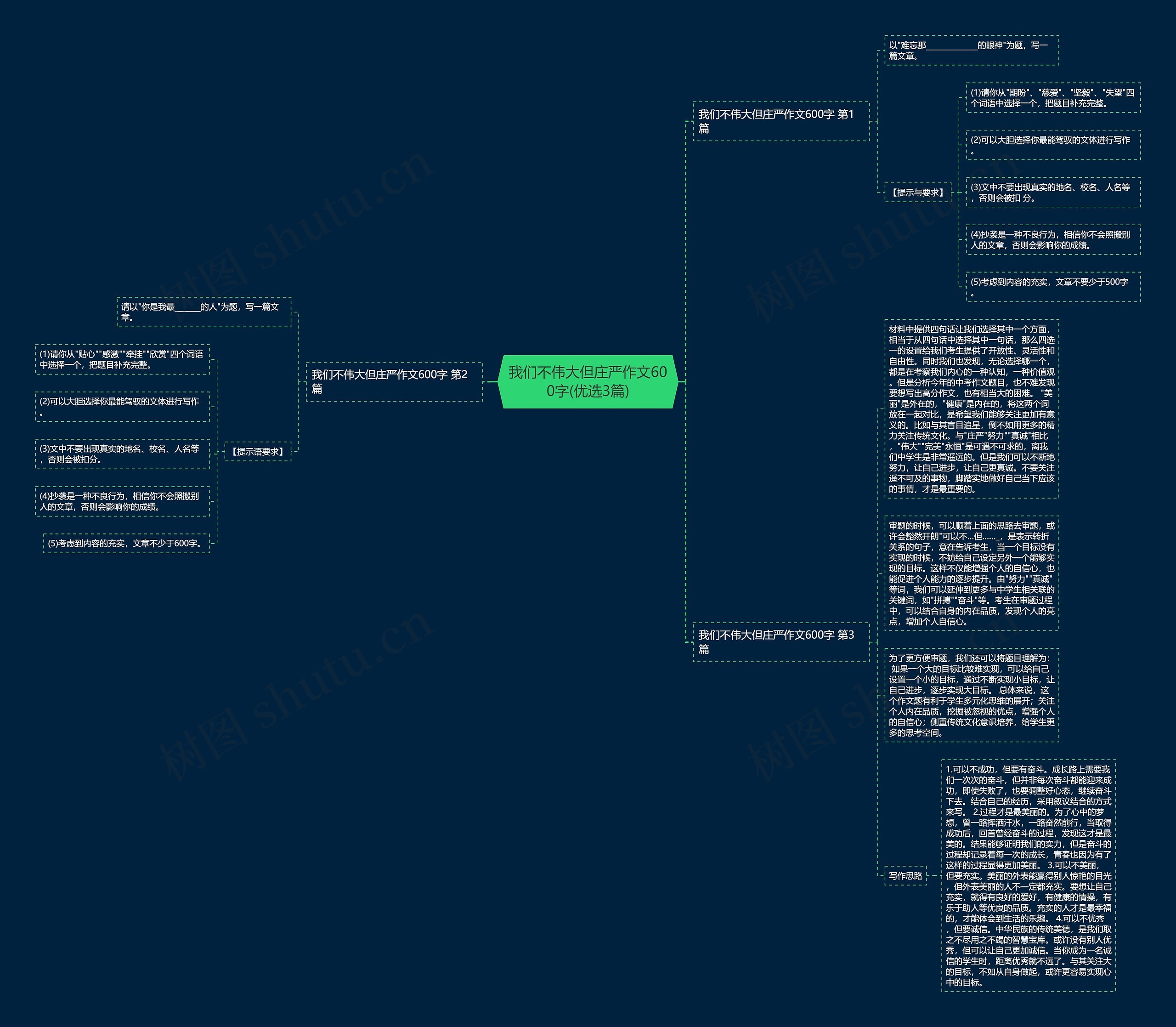 我们不伟大但庄严作文600字(优选3篇)思维导图