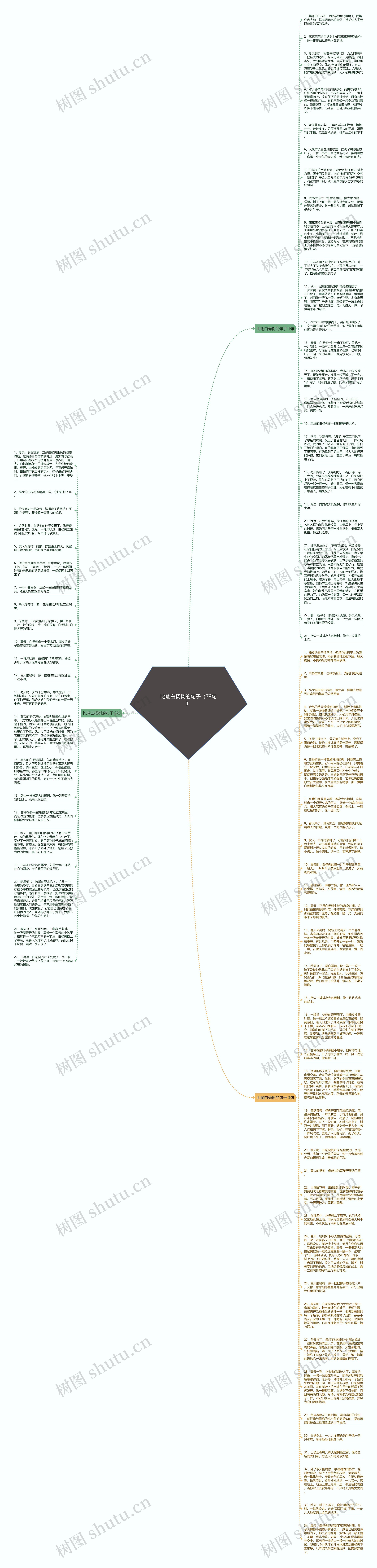比喻白杨树的句子（79句）思维导图