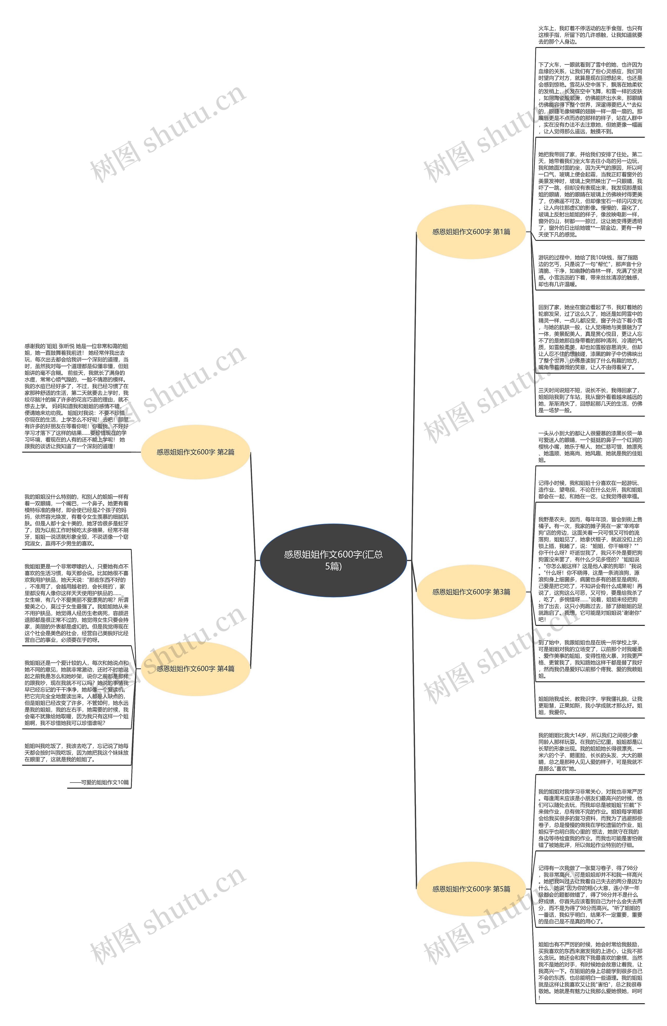 感恩姐姐作文600字(汇总5篇)思维导图