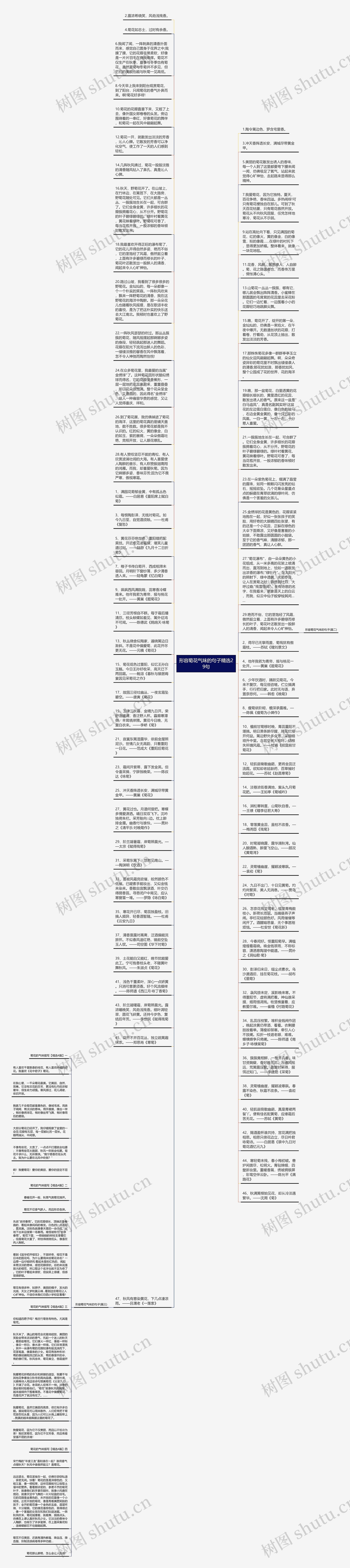 形容菊花气味的句子精选29句思维导图