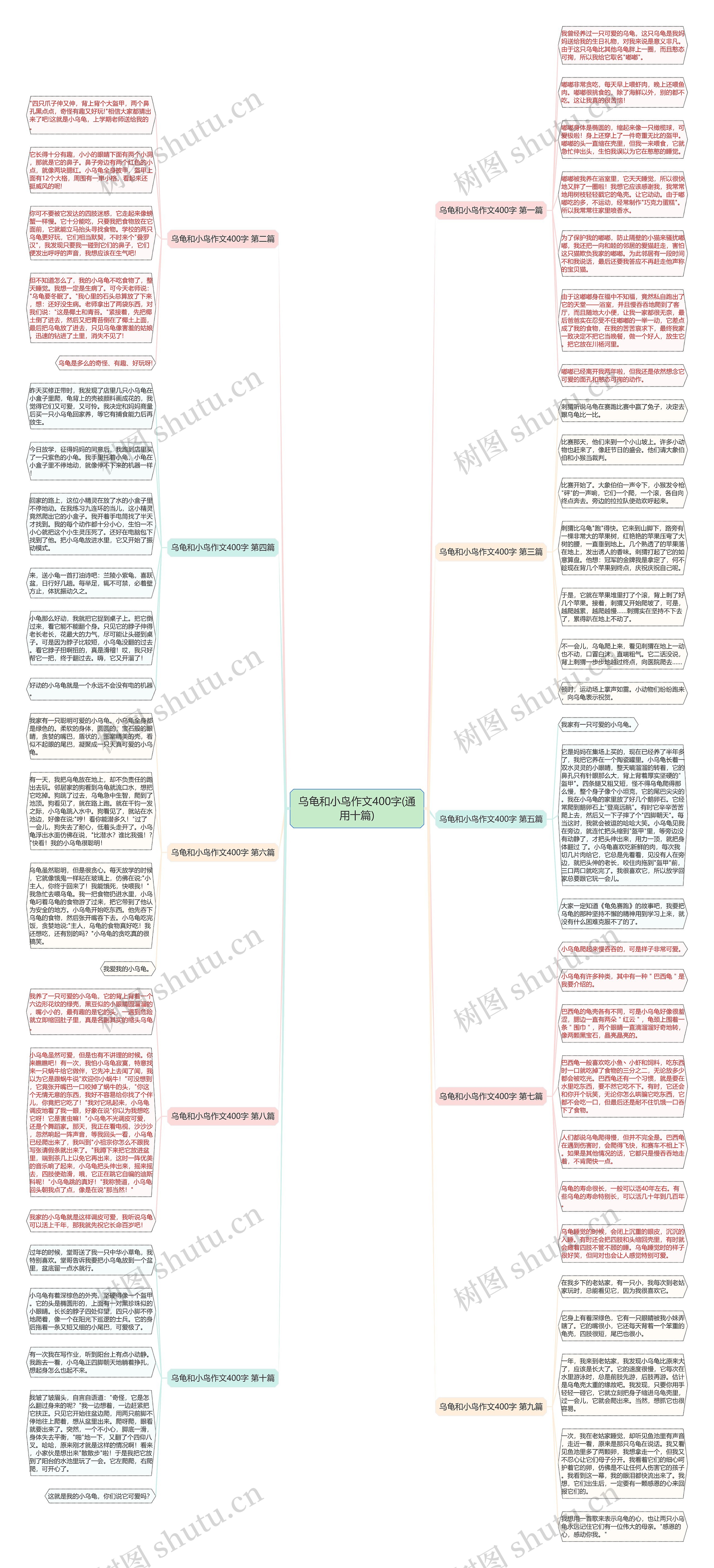 乌龟和小鸟作文400字(通用十篇)思维导图
