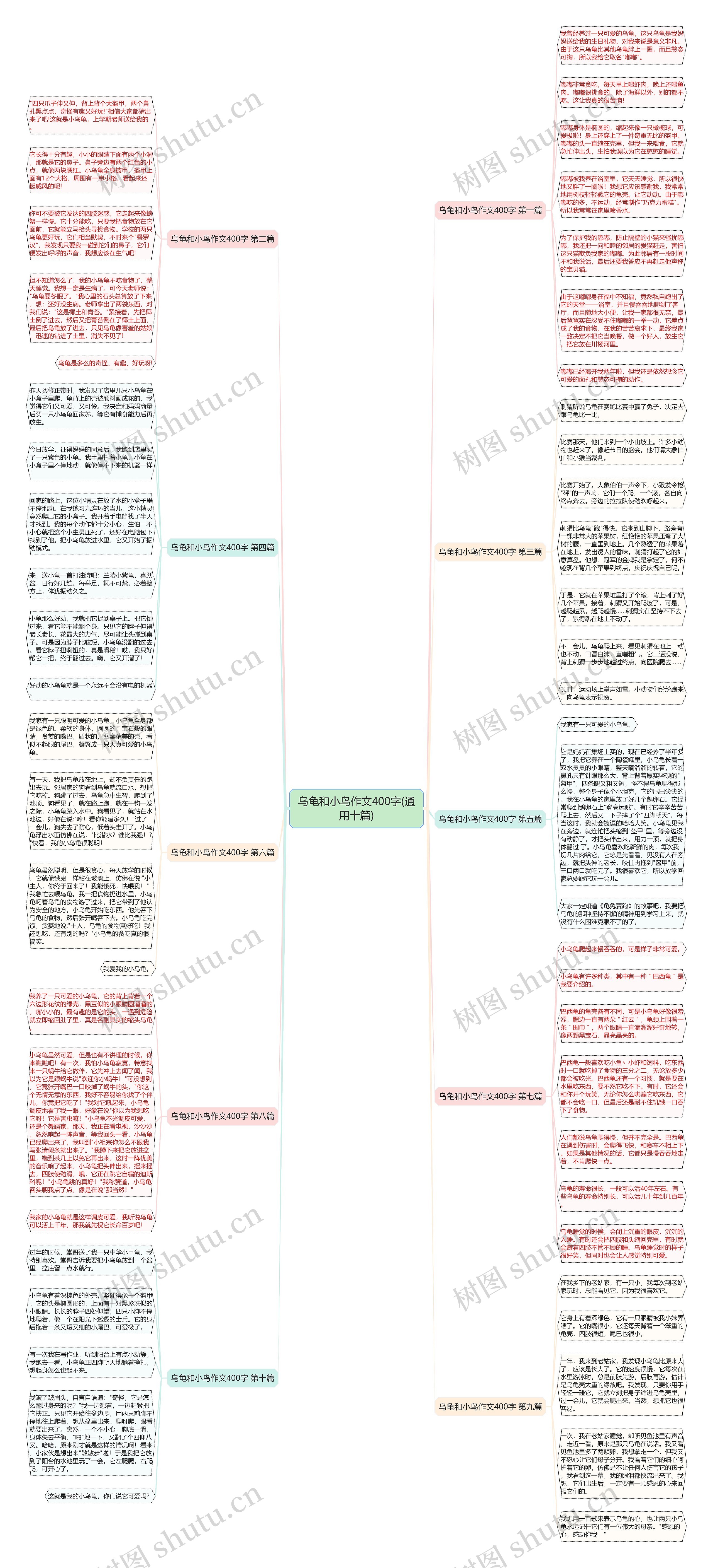 乌龟和小鸟作文400字(通用十篇) 乌龟和小鸟作文400字(通用十篇)