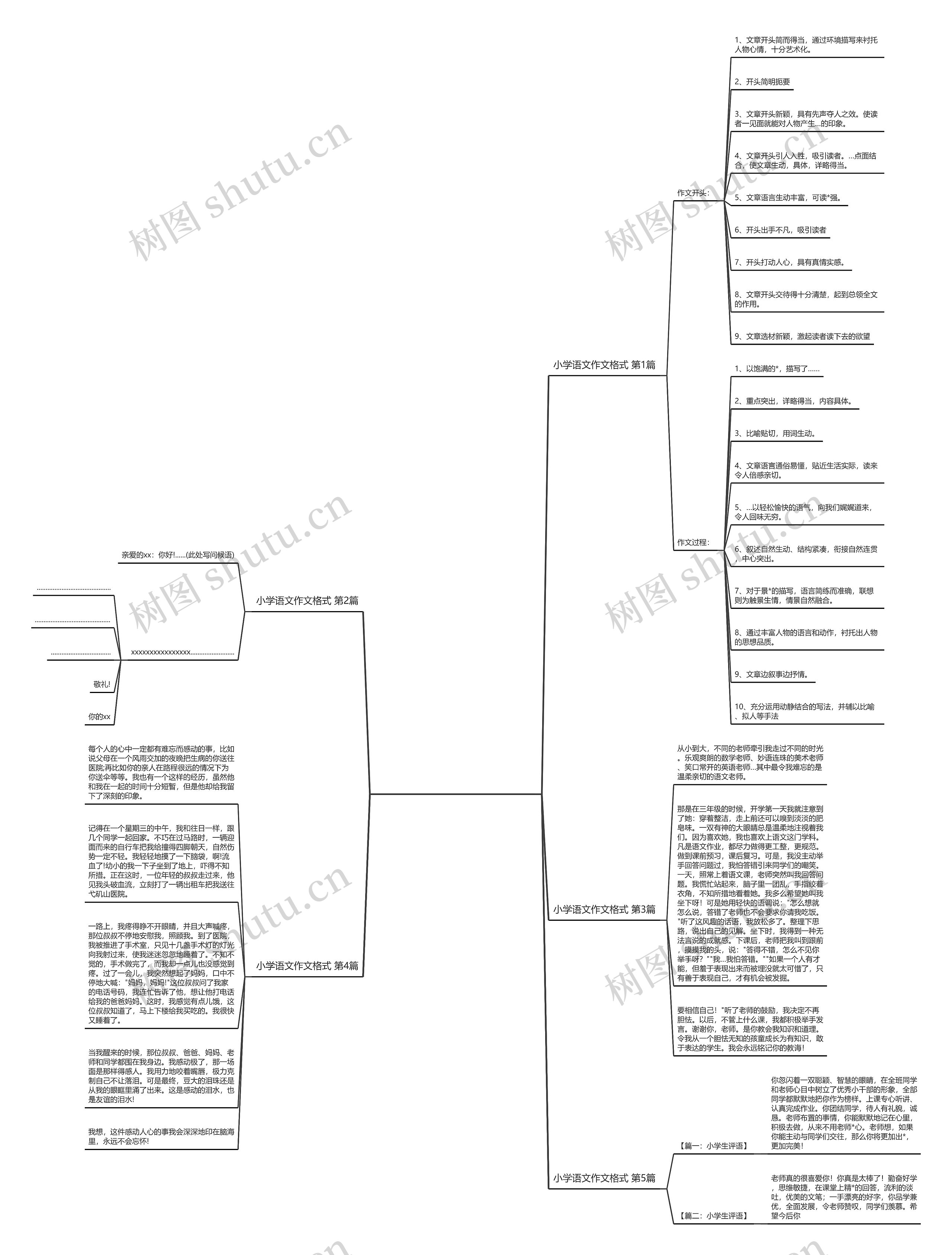 小学语文作文格式(优选5篇)思维导图