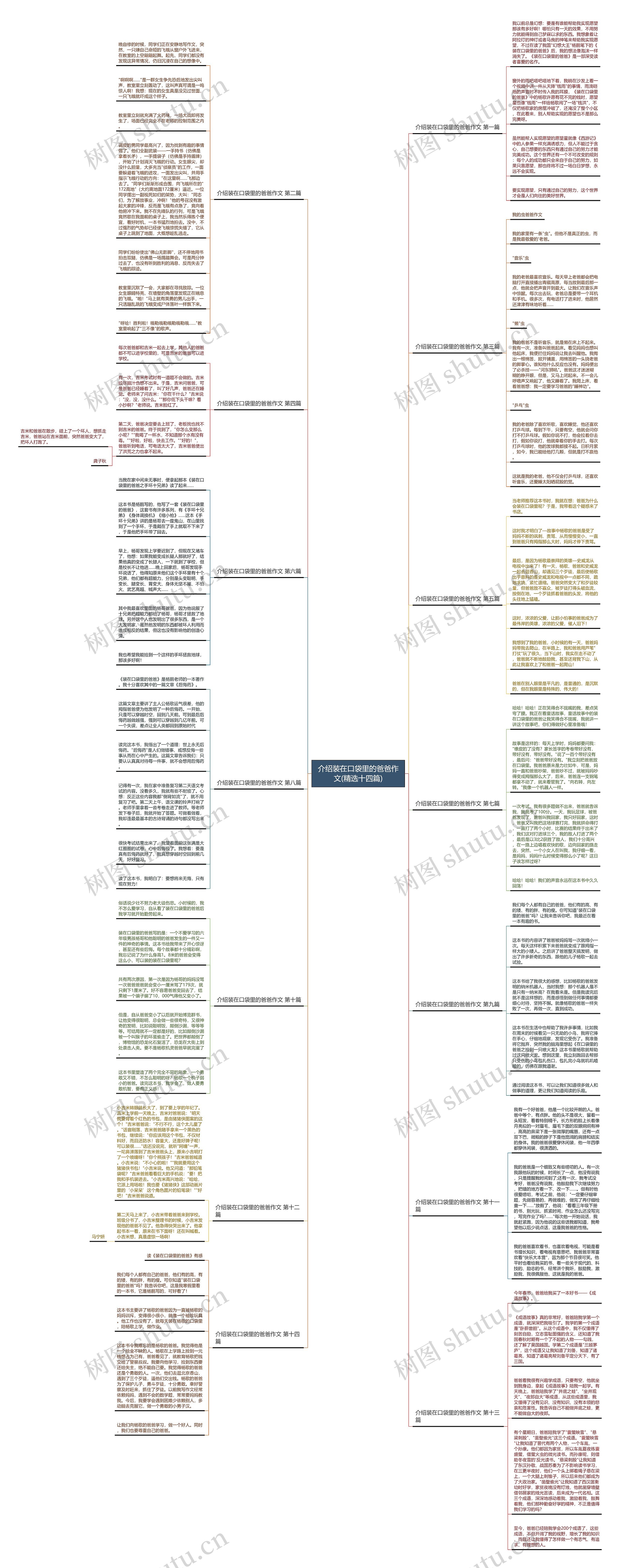介绍装在口袋里的爸爸作文(精选十四篇)思维导图