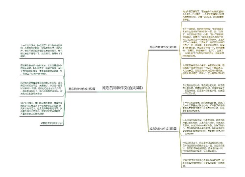 难忘的物体作文(合集3篇)