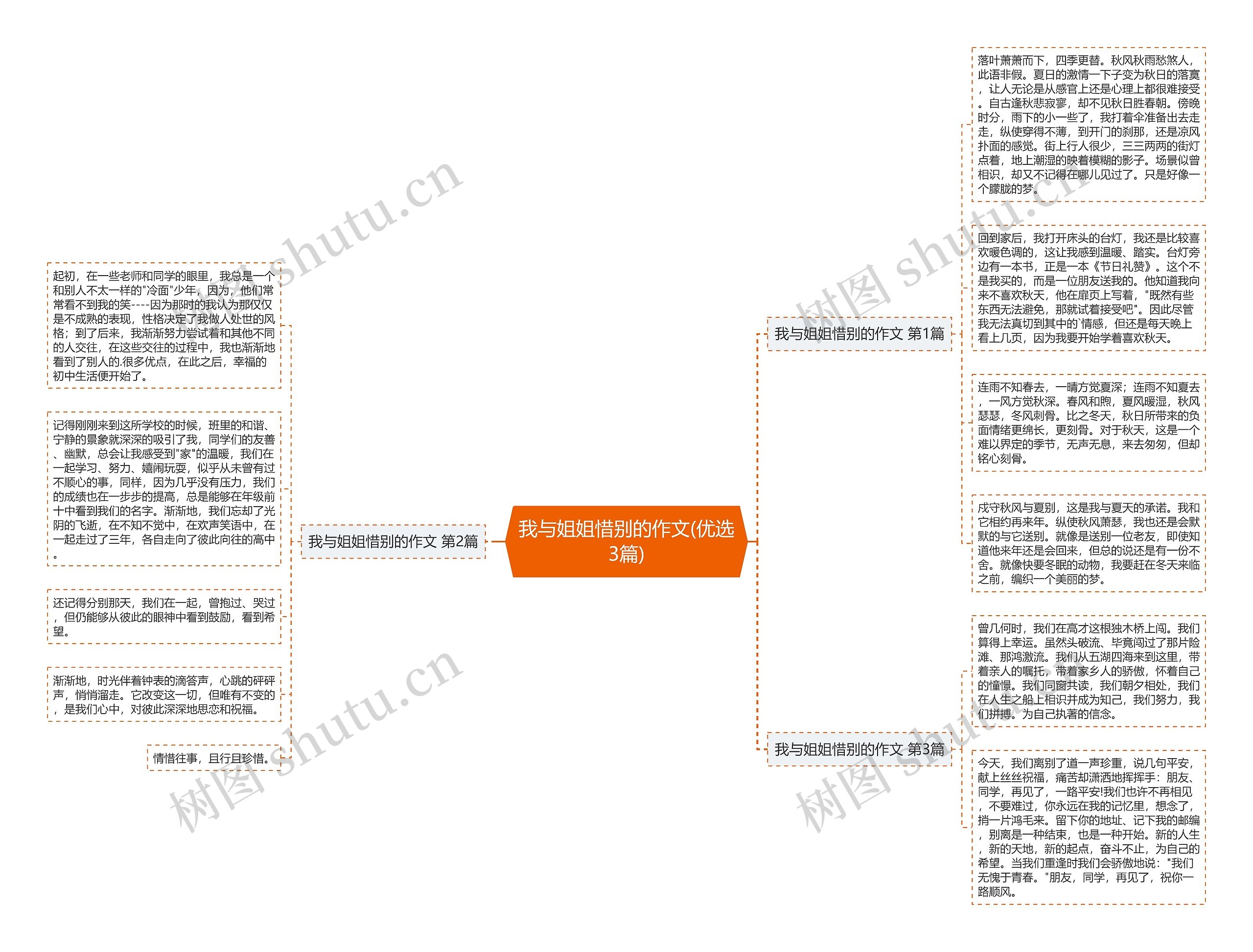 我与姐姐惜别的作文(优选3篇)思维导图