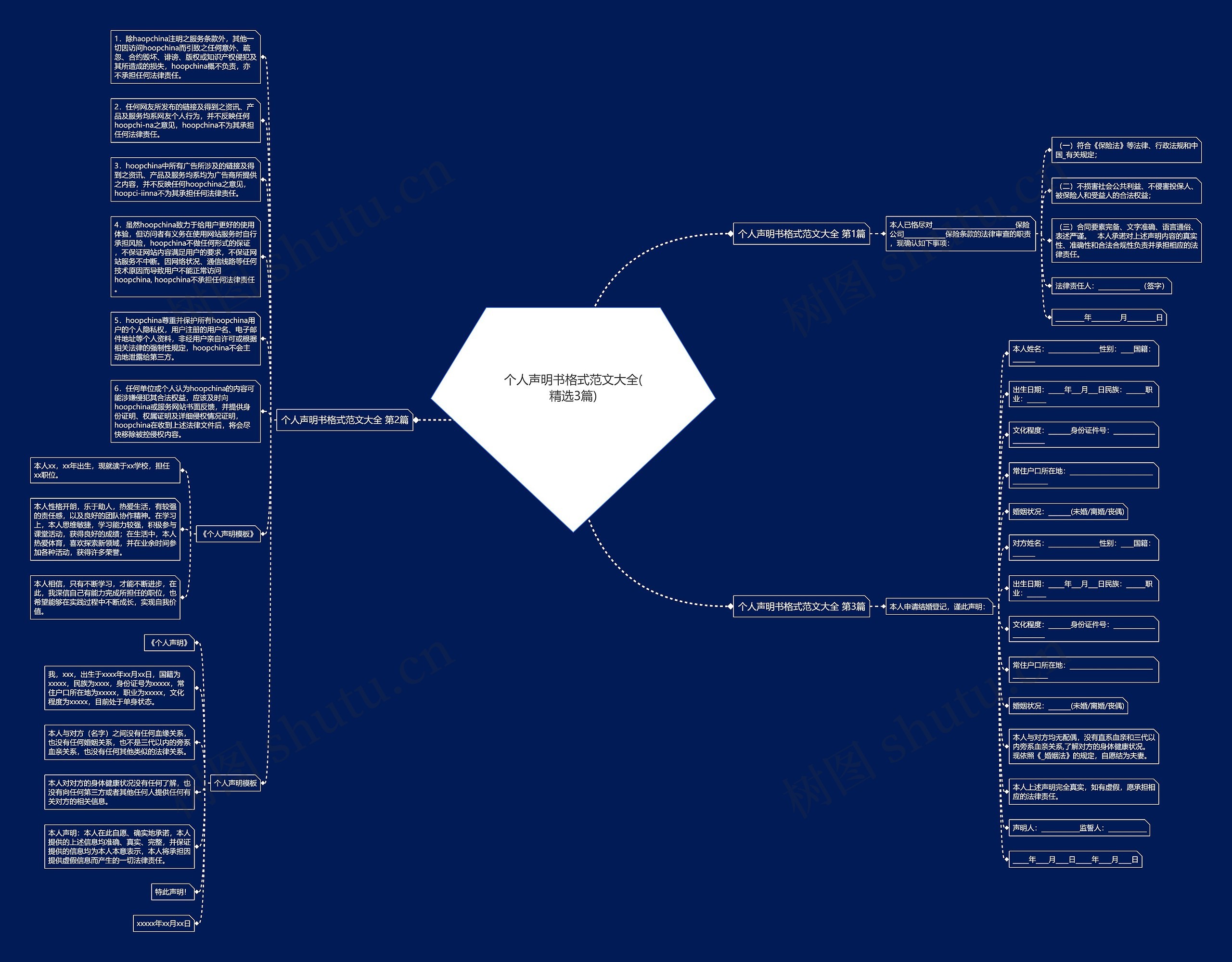 个人声明书格式范文大全(精选3篇)思维导图