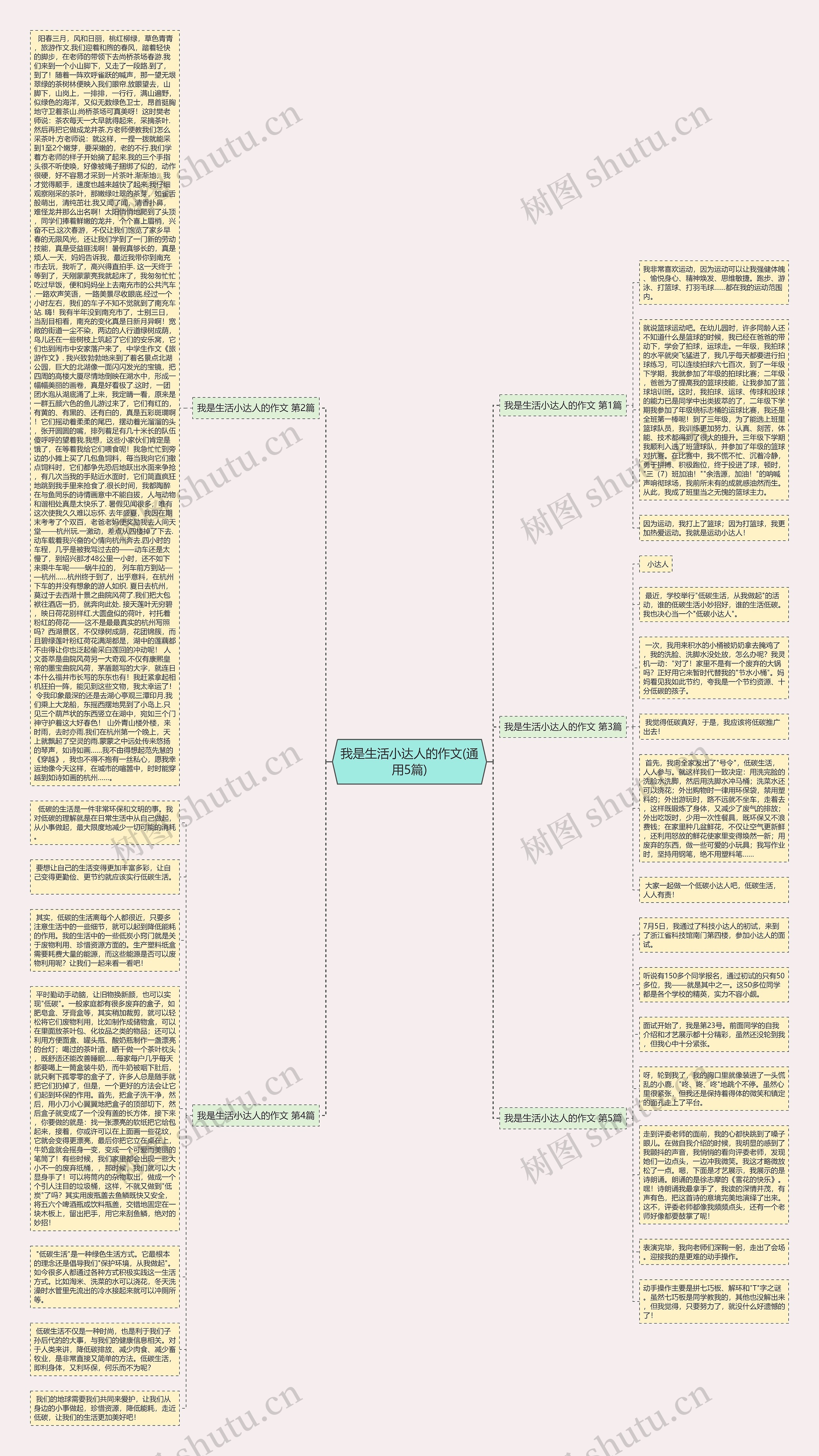 我是生活小达人的作文(通用5篇)思维导图