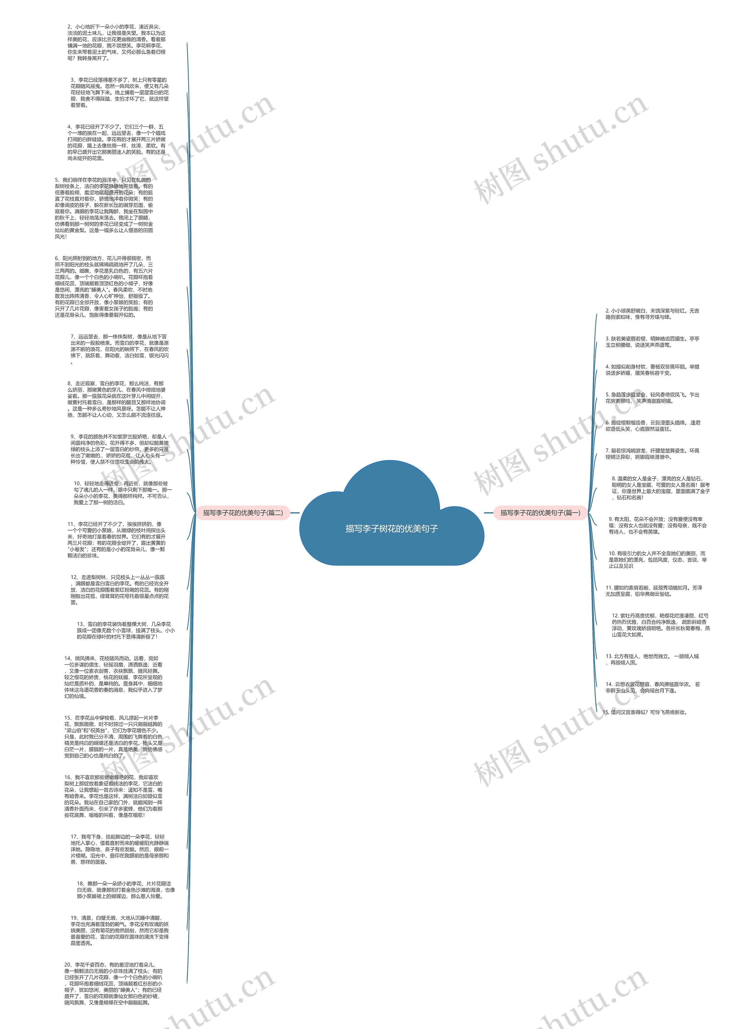 描写李子树花的优美句子思维导图