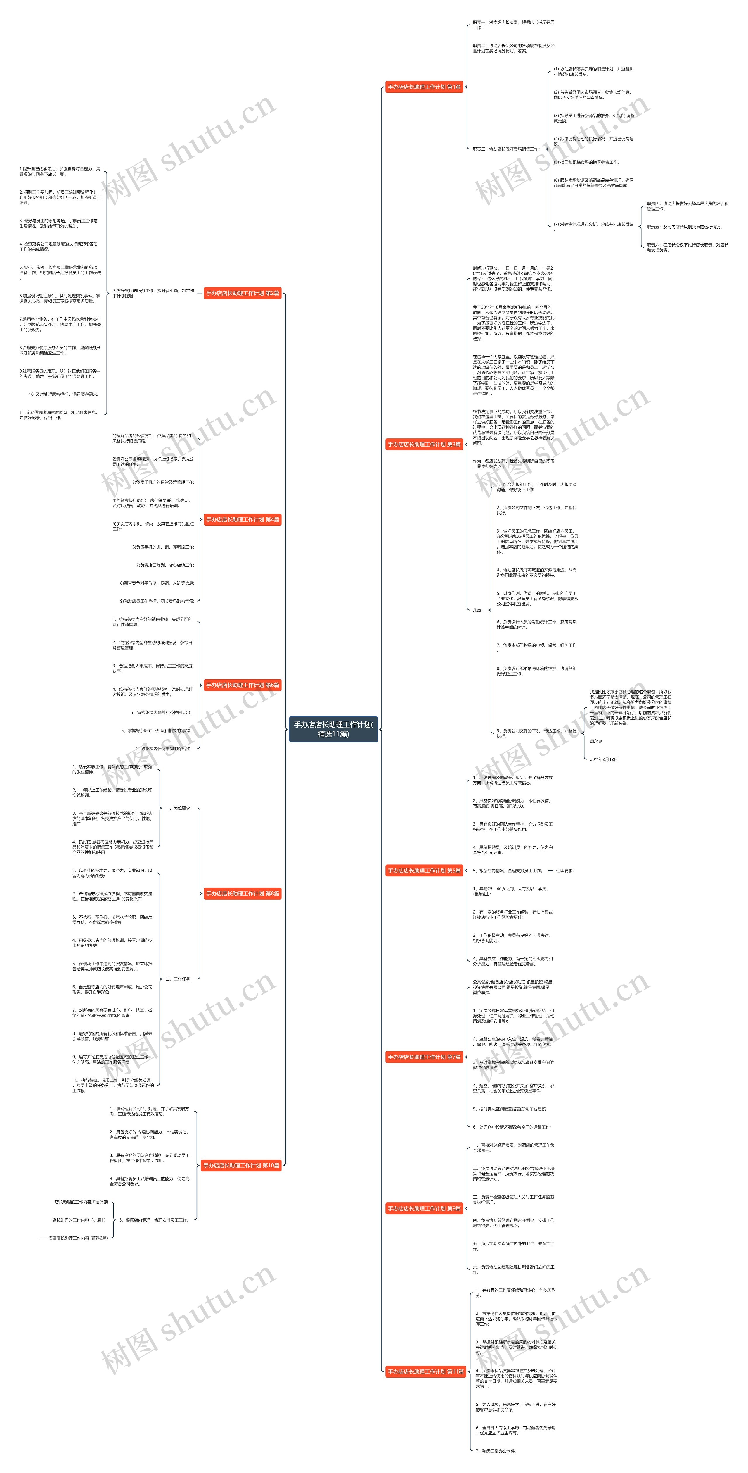 手办店店长助理工作计划(精选11篇)思维导图