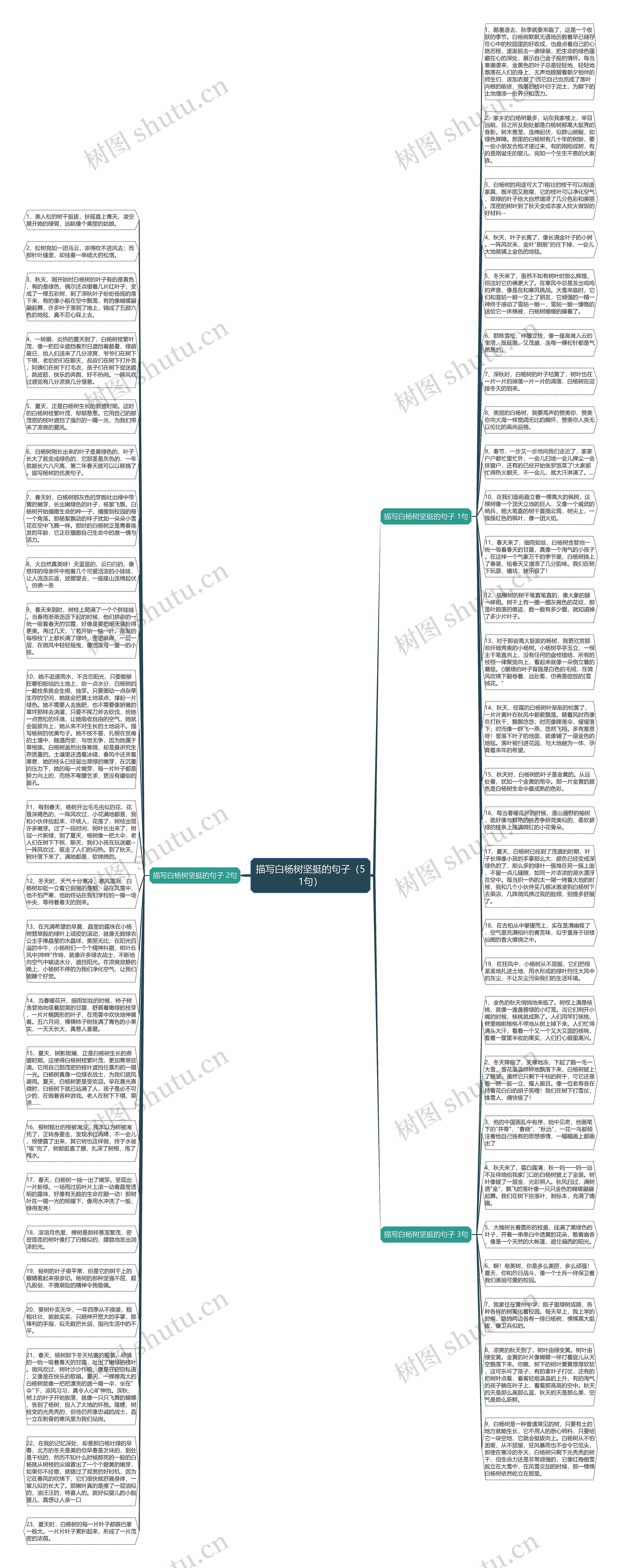 描写白杨树坚挺的句子（51句）思维导图