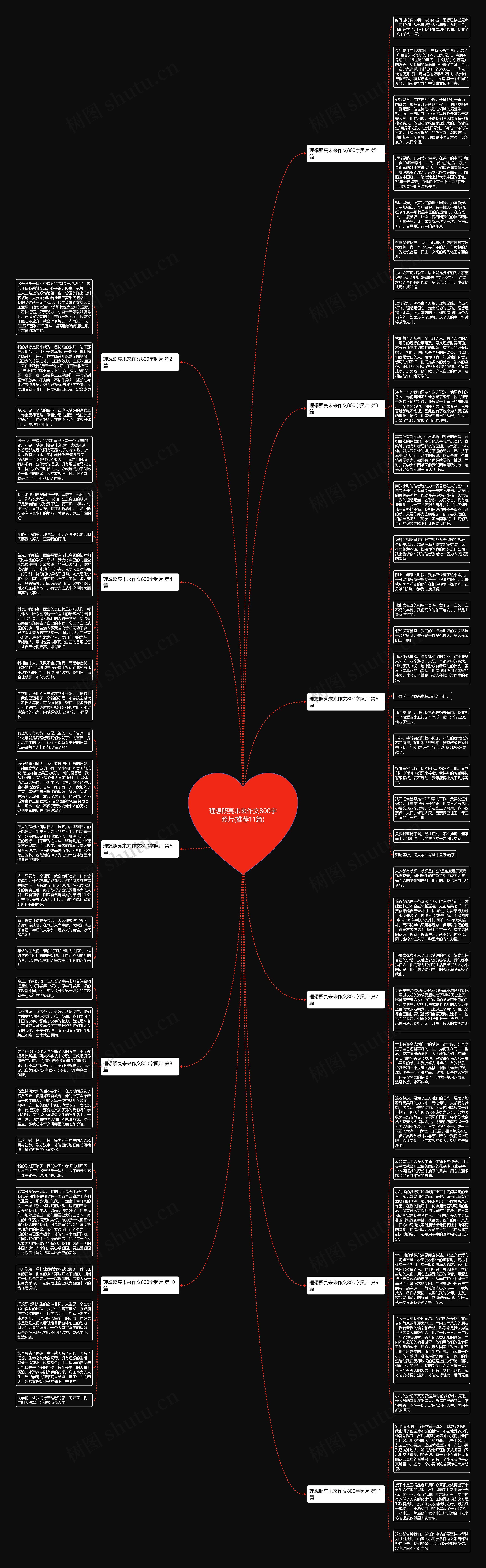 理想照亮未来作文800字照片(推荐11篇)思维导图