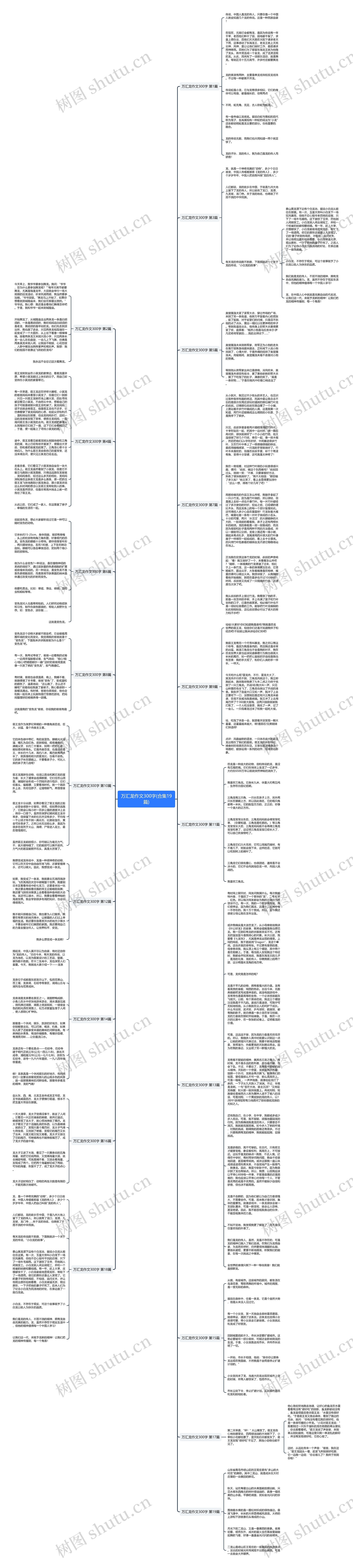 万汇龙作文300字(合集19篇)思维导图