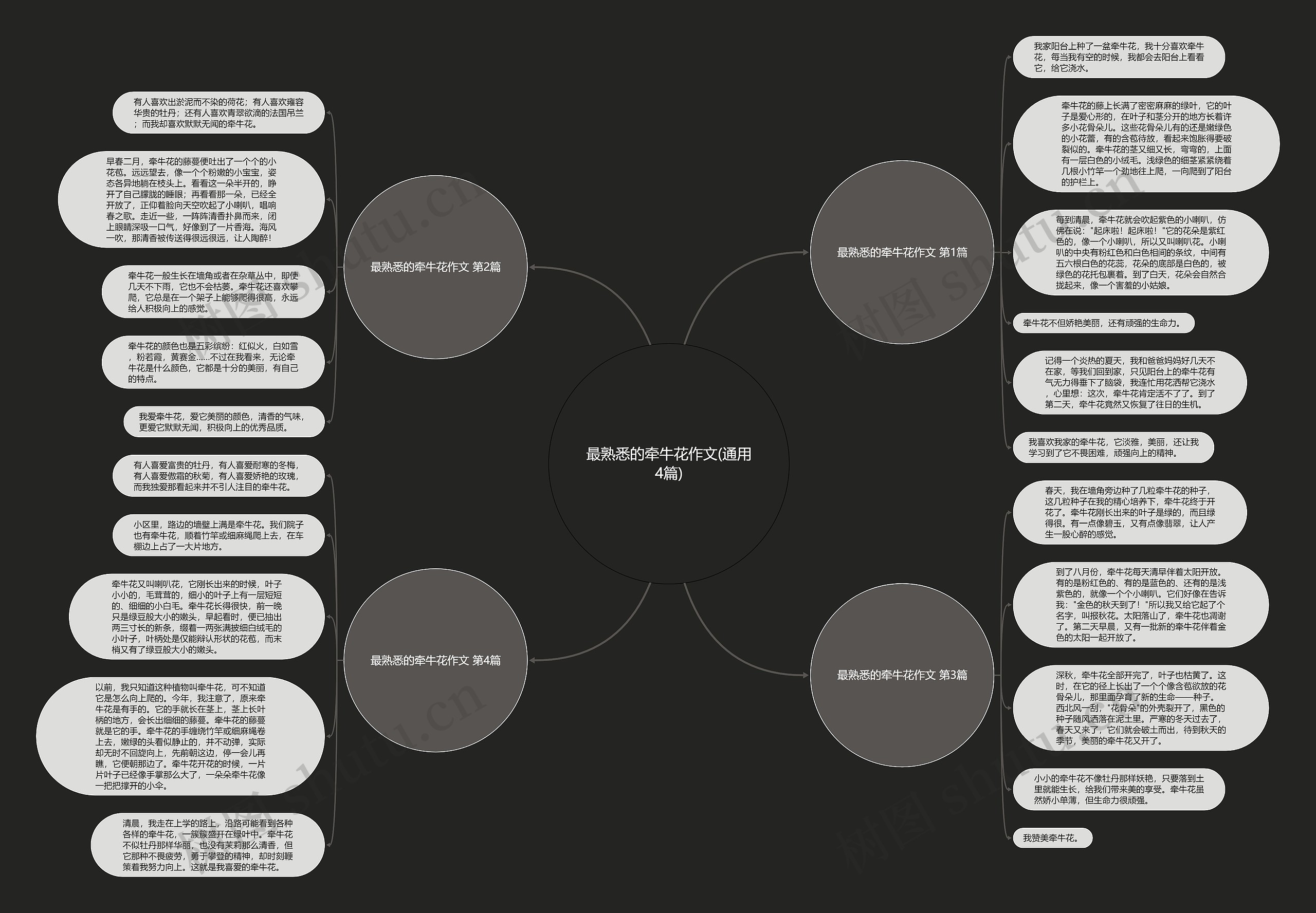 最熟悉的牵牛花作文(通用4篇) 最熟悉的牵牛花作文(通用4篇)