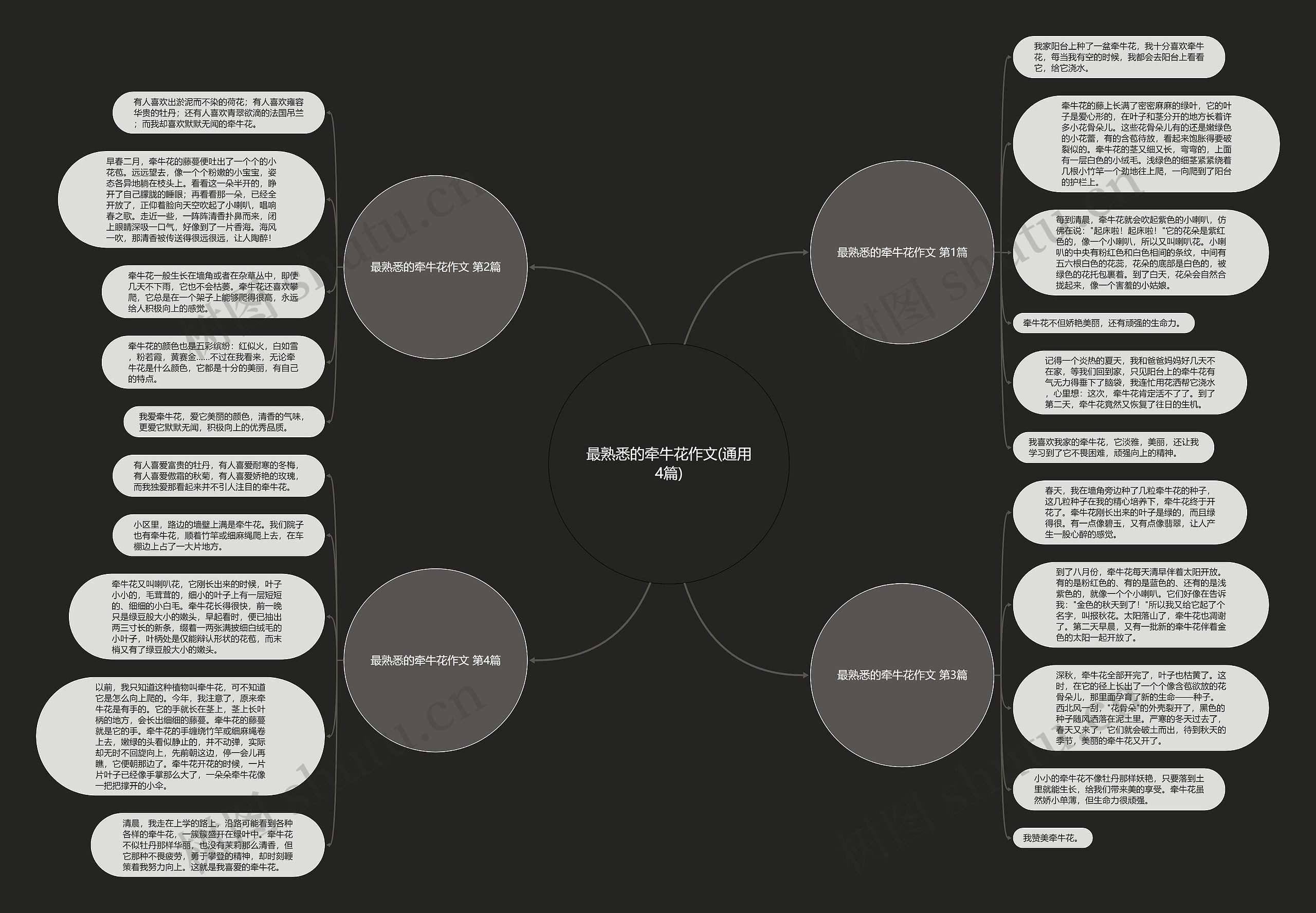 最熟悉的牵牛花作文(通用4篇)思维导图