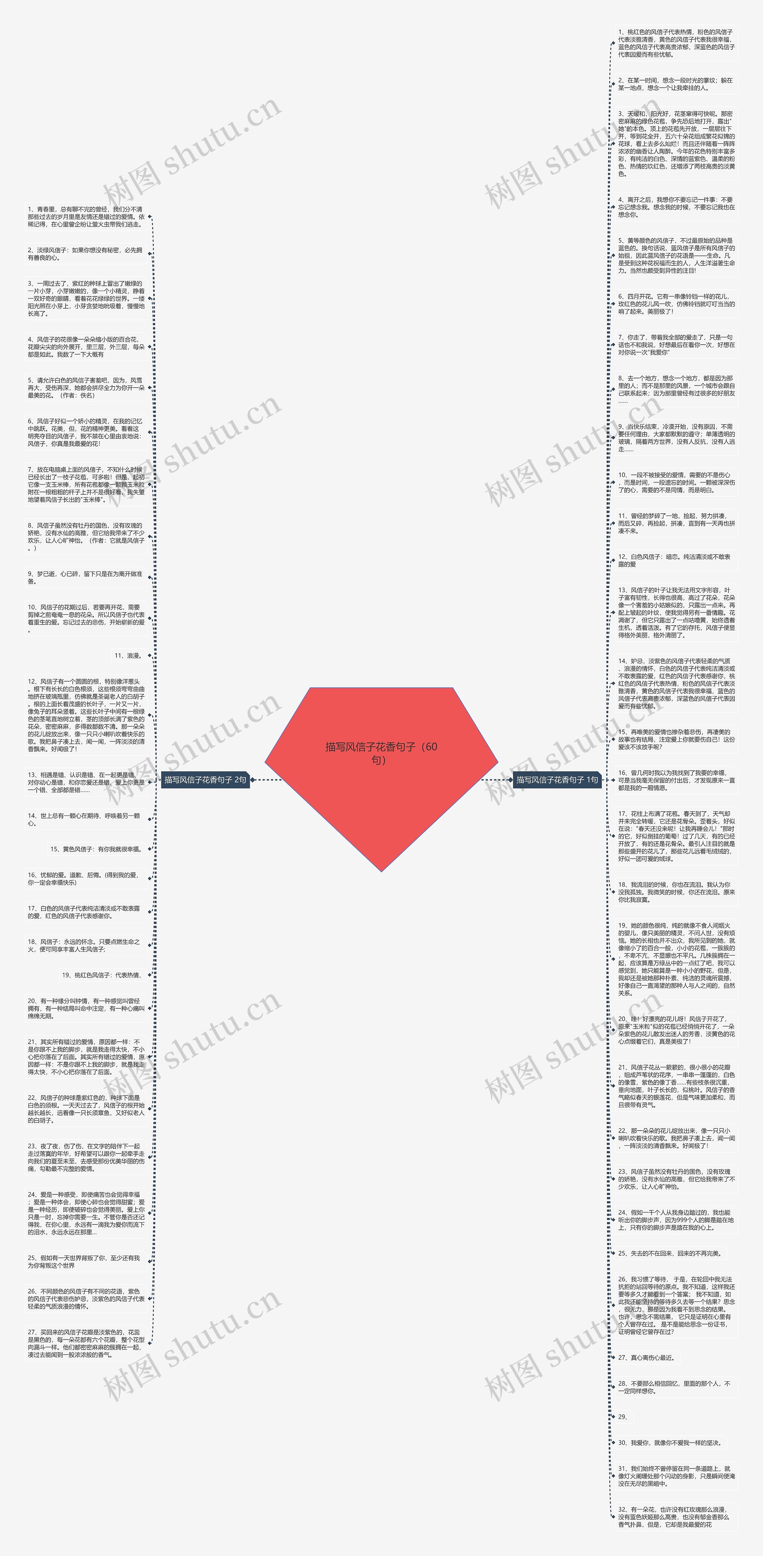 描写风信子花香句子（60句）思维导图