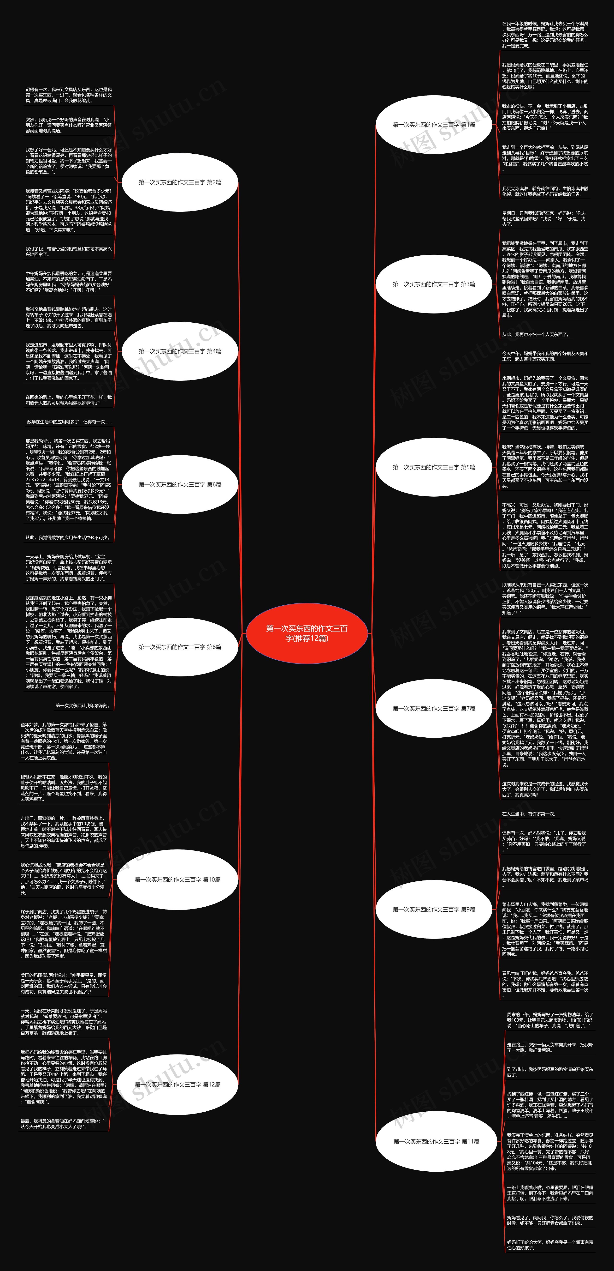 第一次买东西的作文三百字(推荐12篇)