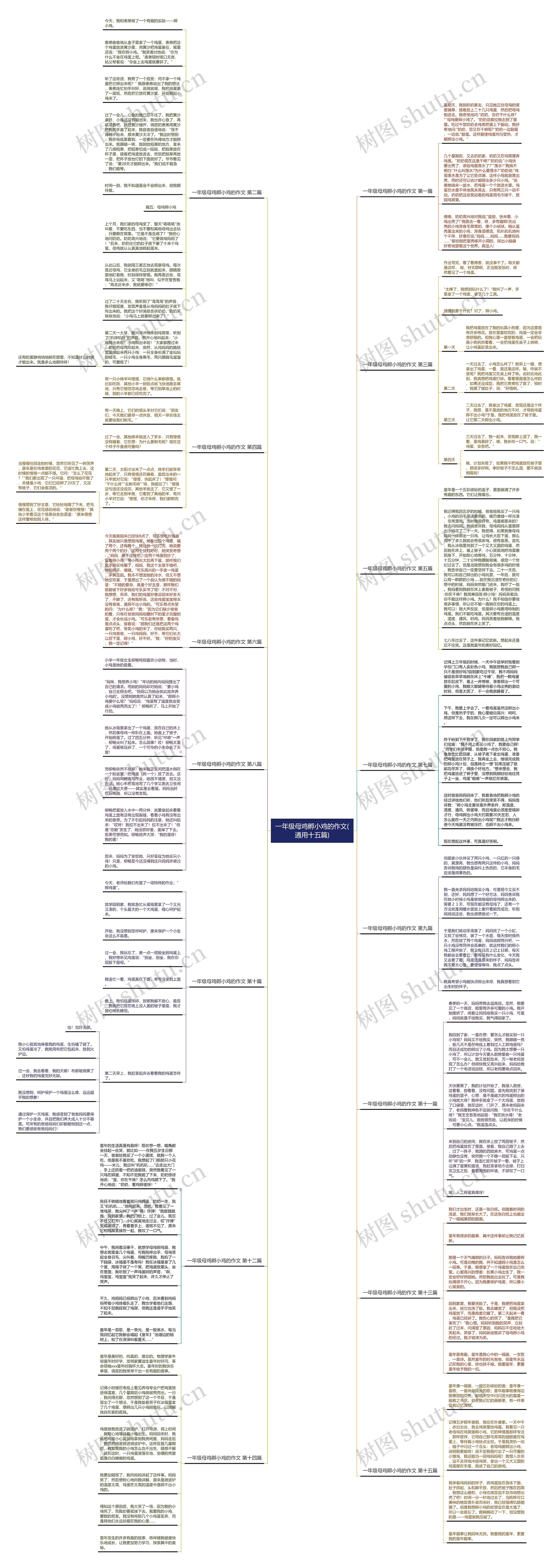 一年级母鸡孵小鸡的作文(通用十五篇)思维导图