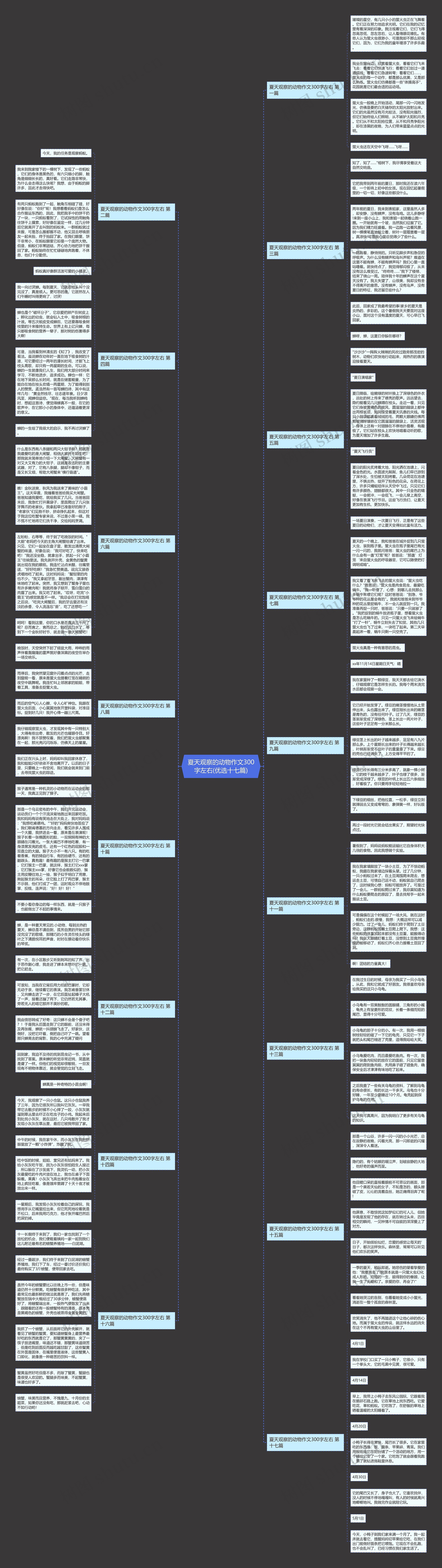 夏天观察的动物作文300字左右(优选十七篇)思维导图