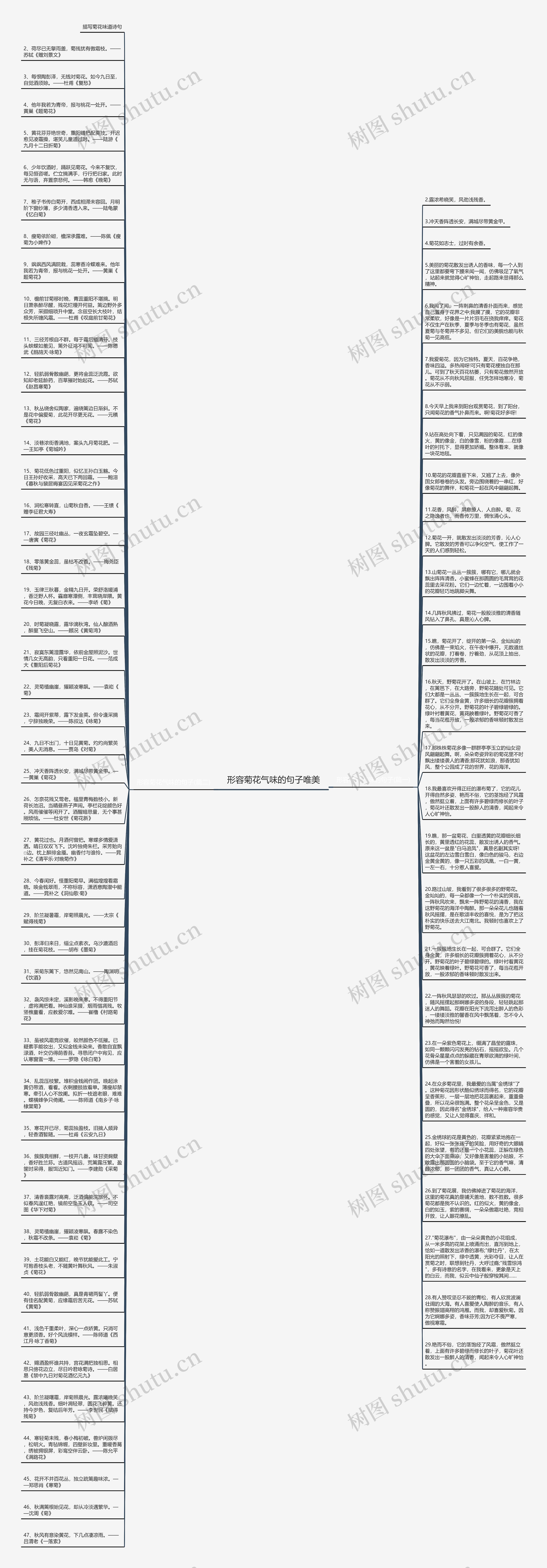 形容菊花气味的句子唯美思维导图