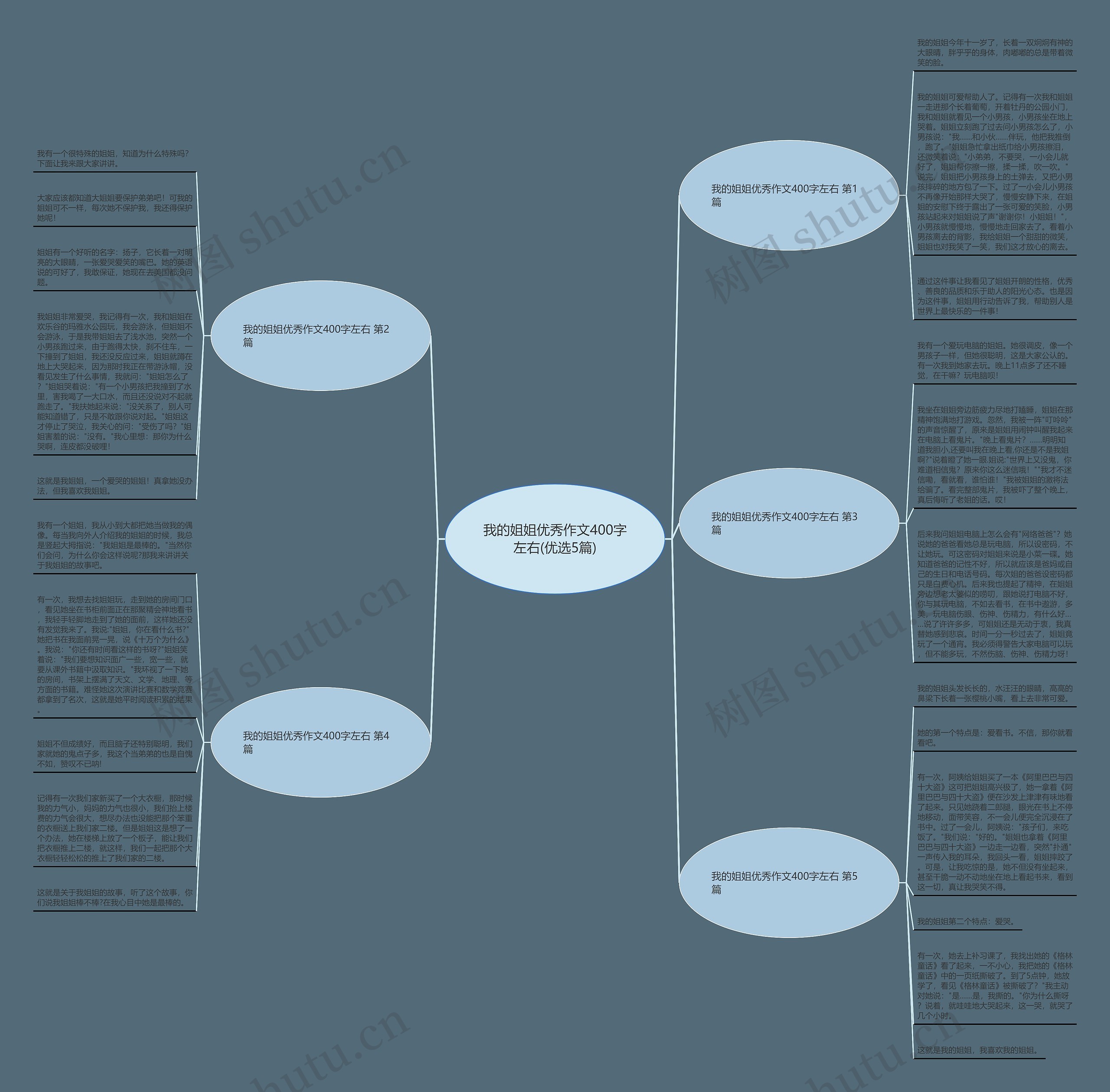 我的姐姐优秀作文400字左右(优选5篇)思维导图