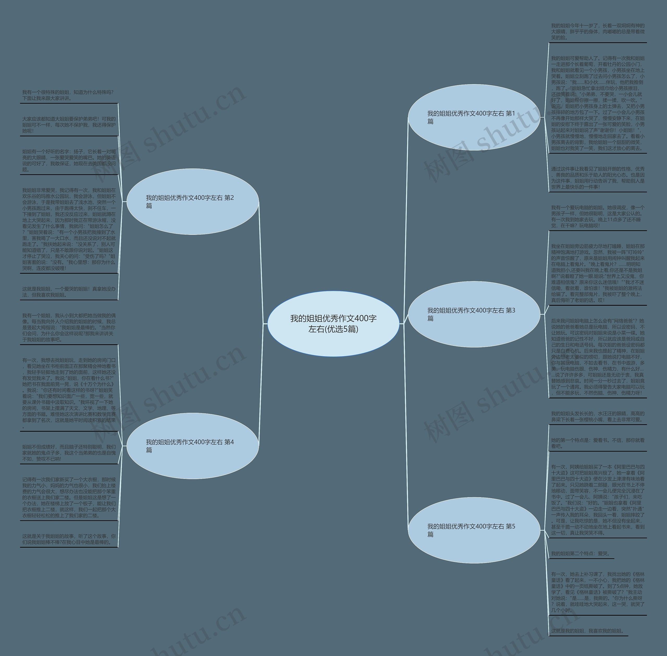 我的姐姐优秀作文400字左右(优选5篇) 我的姐姐优秀作文400字左右(优选5篇)