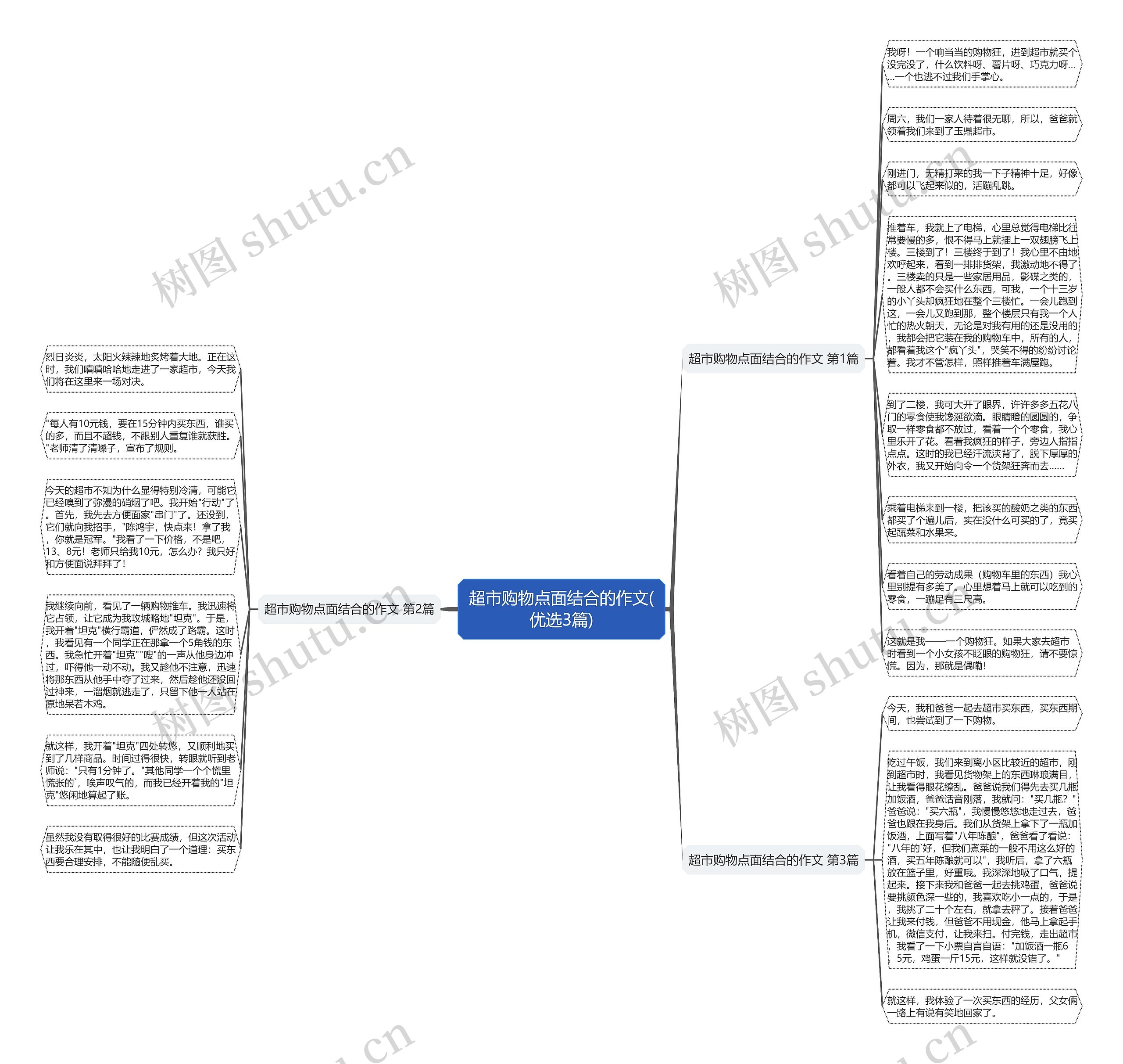 超市购物点面结合的作文(优选3篇)思维导图