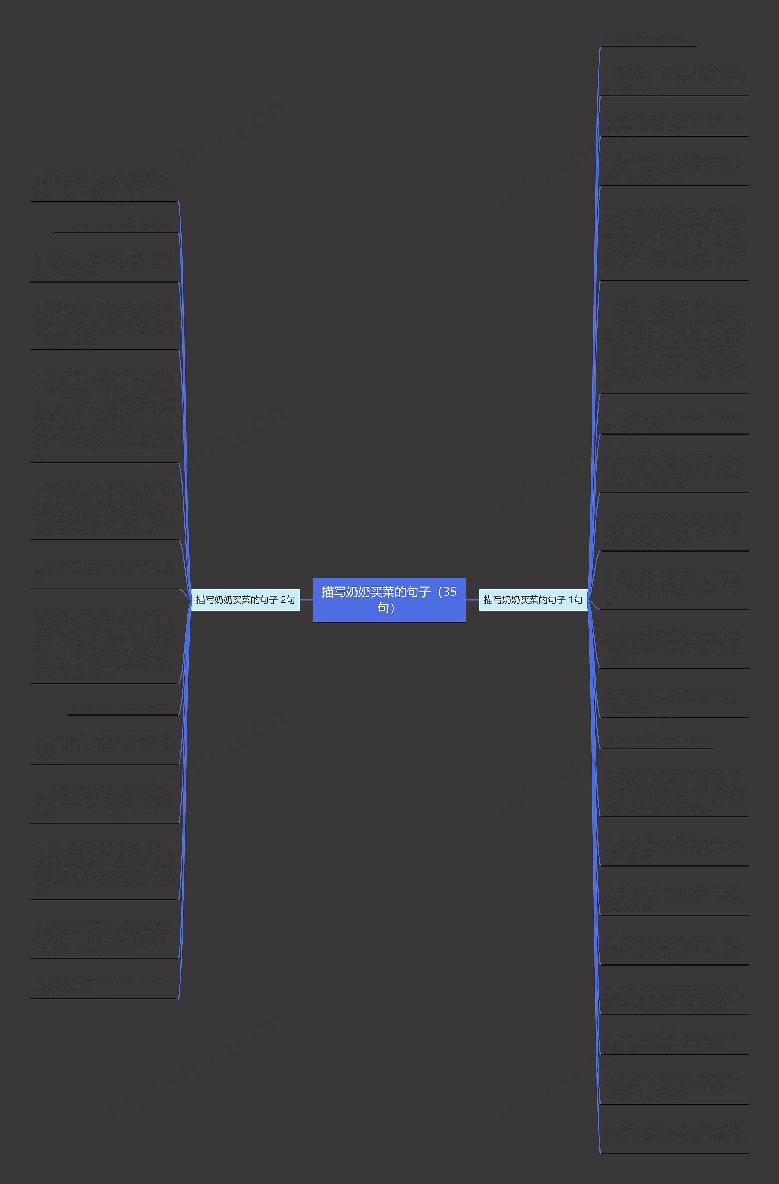 描写奶奶买菜的句子(35句)思维导图高清图 描写奶奶买菜的句子(35句)思维导图