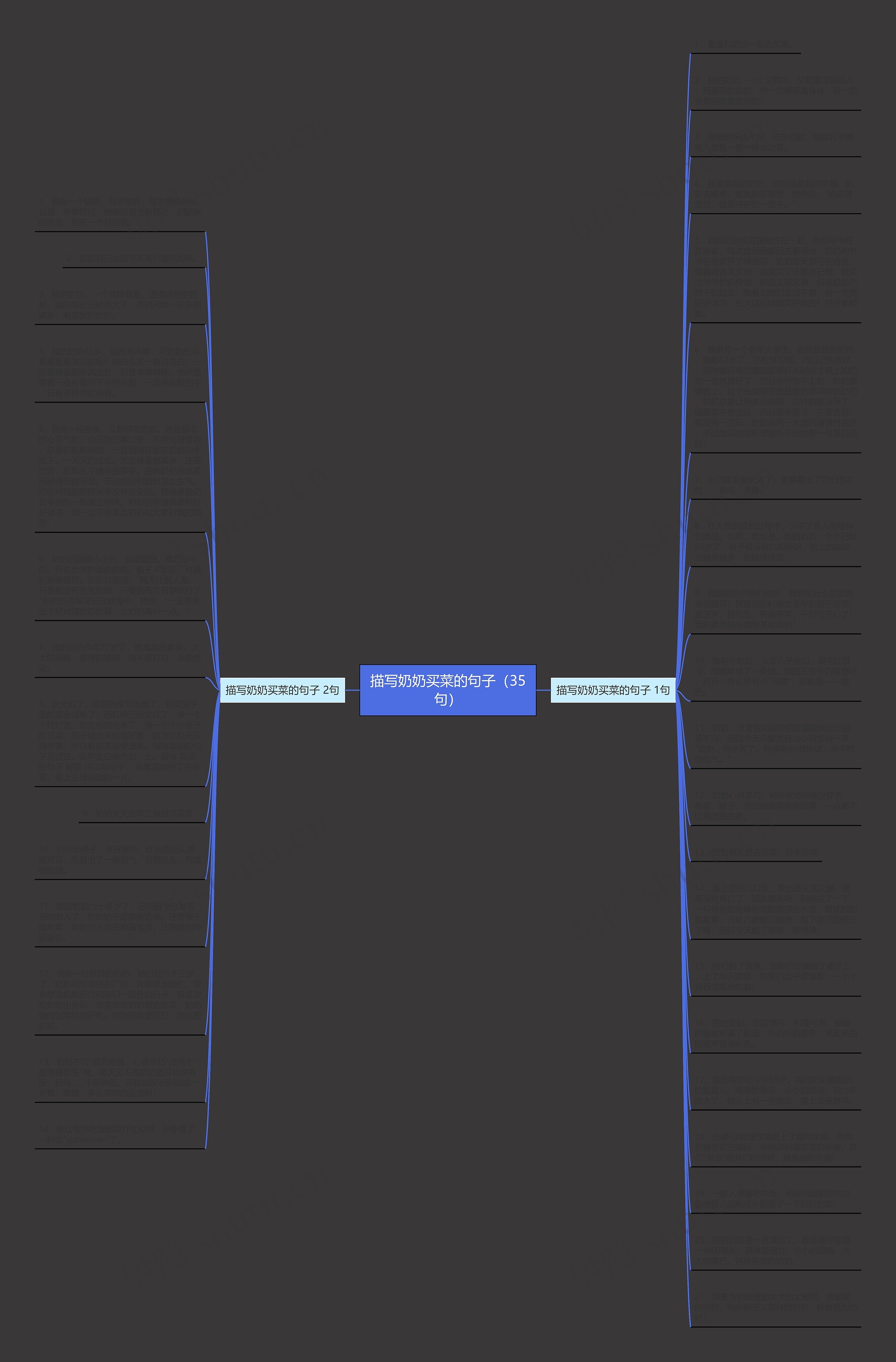 描写奶奶买菜的句子（35句）思维导图