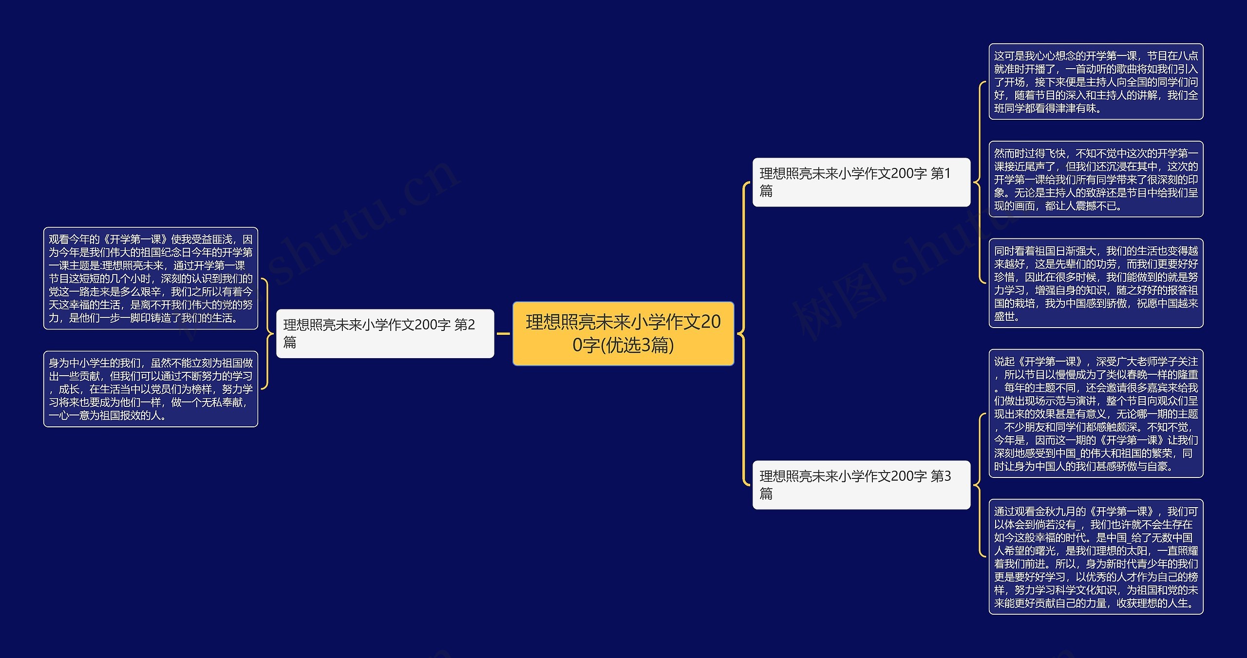 理想照亮未来小学作文200字(优选3篇)思维导图