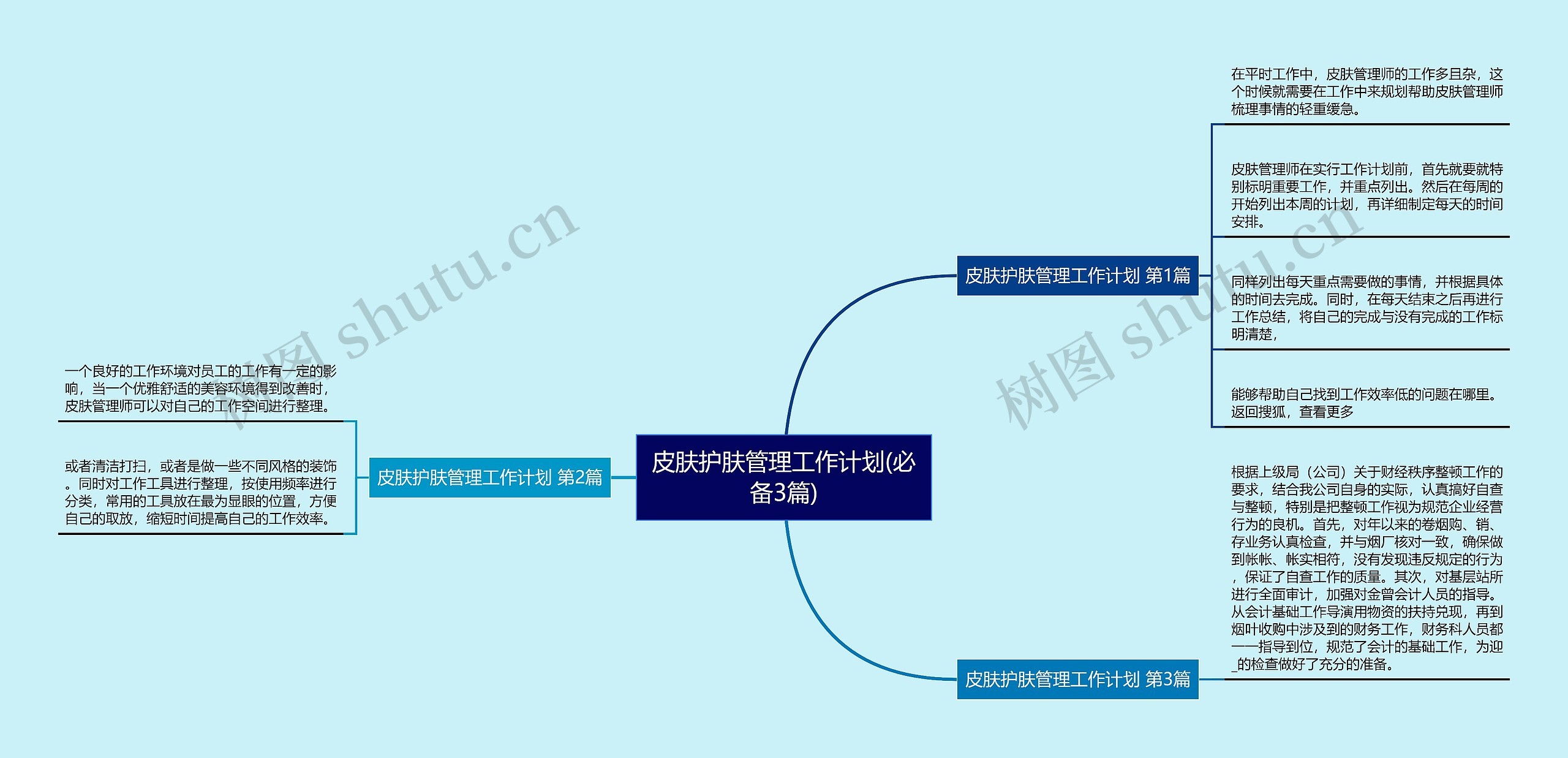 皮肤护肤管理工作计划(必备3篇)思维导图