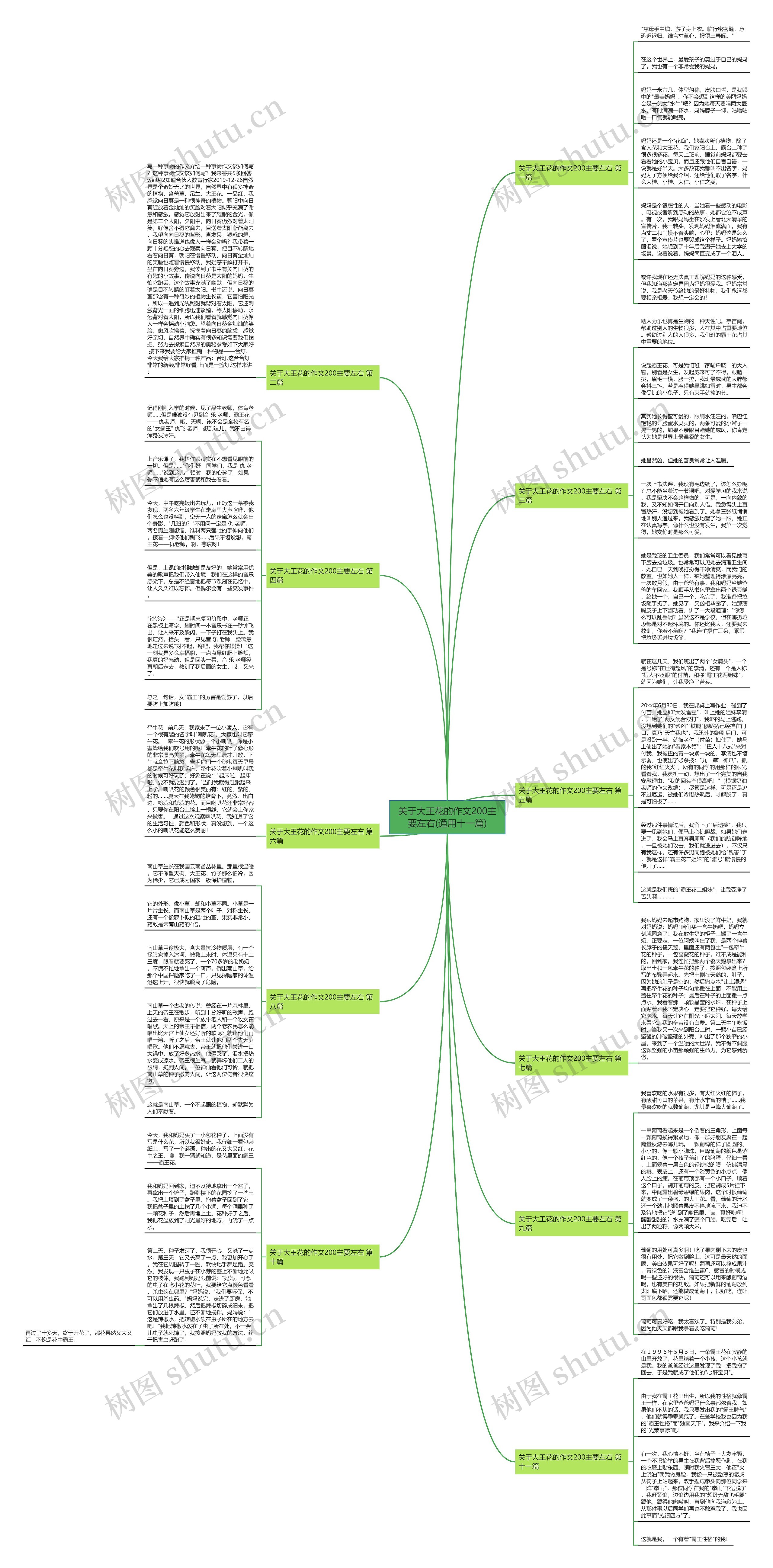 关于大王花的作文200主要左右(通用十一篇)思维导图