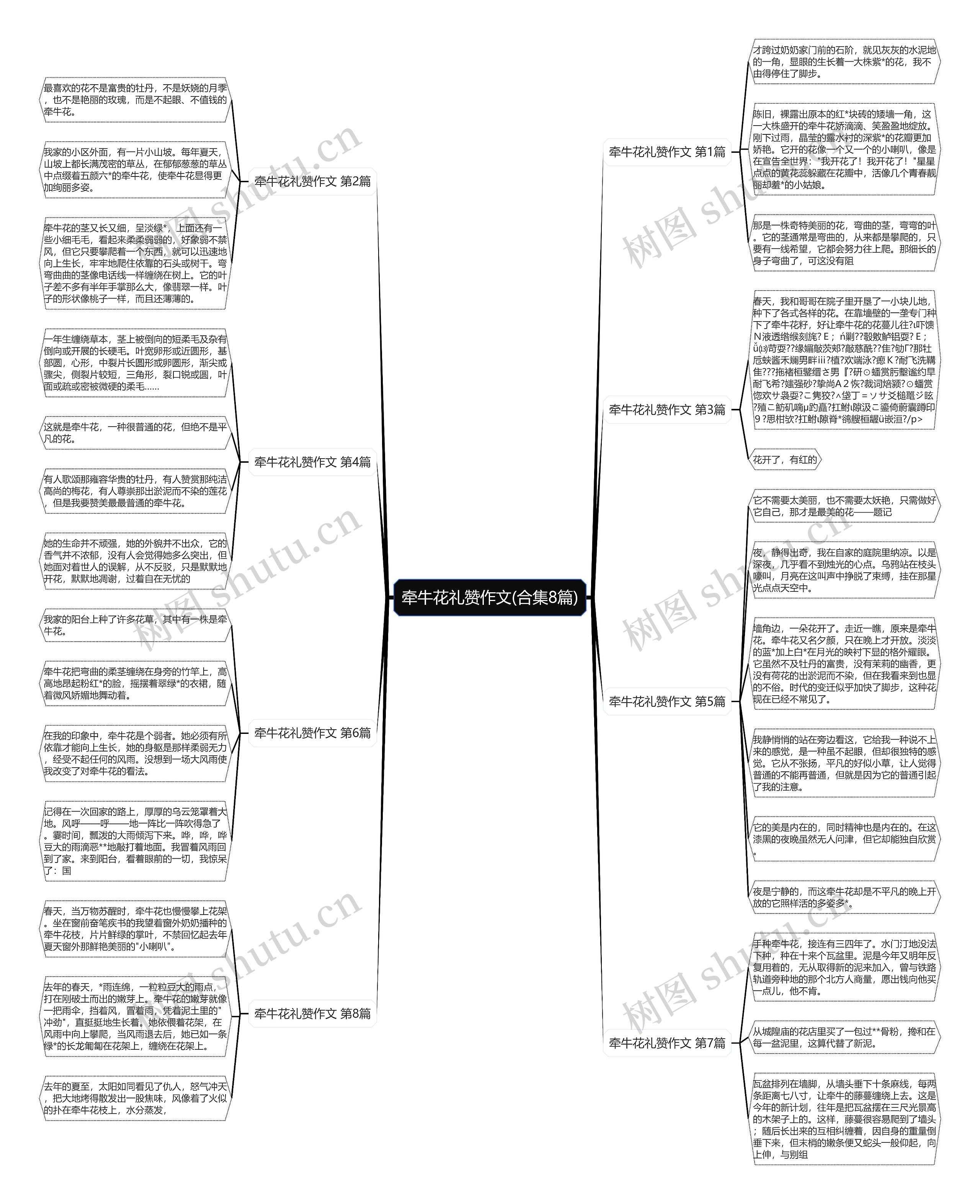 牵牛花礼赞作文(合集8篇)思维导图