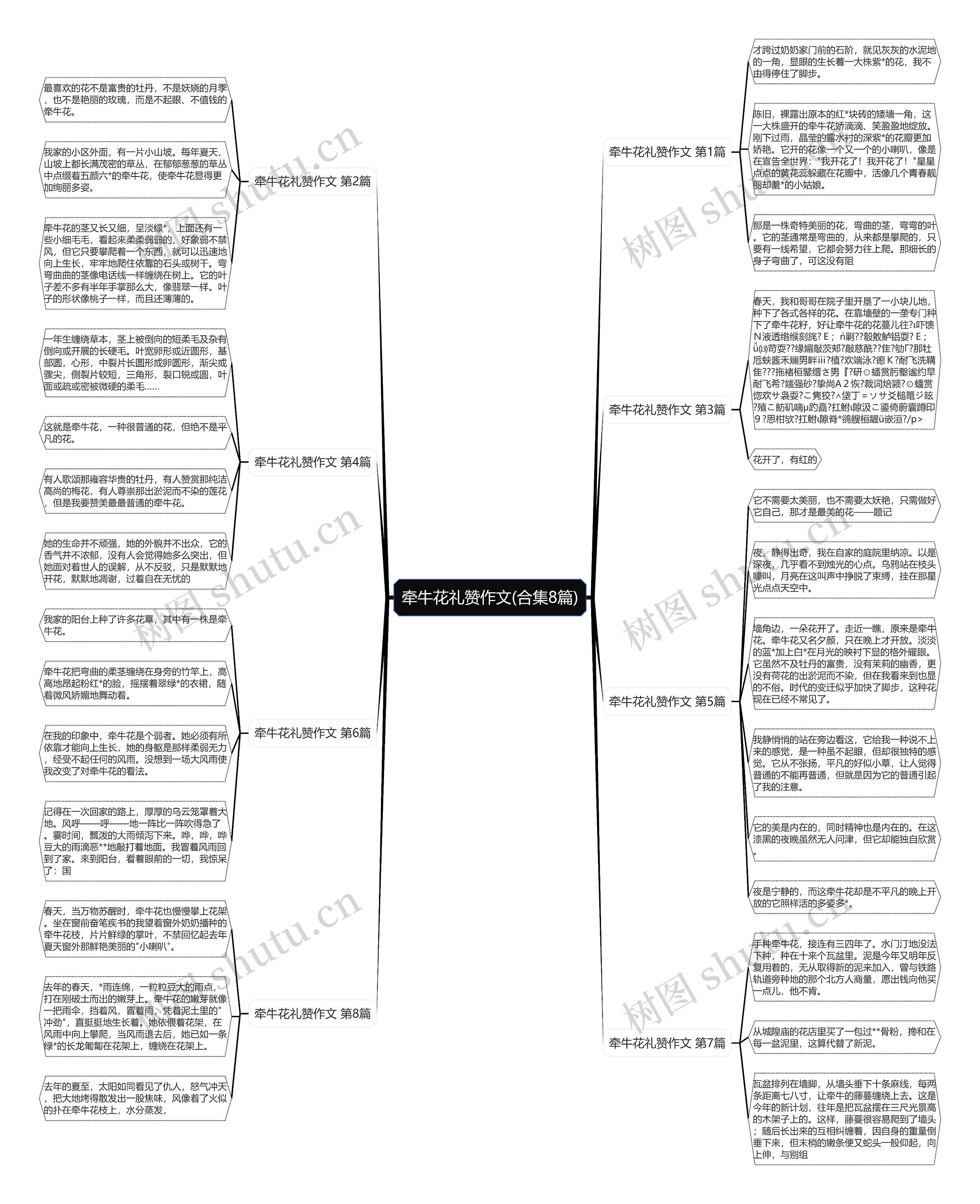 牵牛花礼赞作文(合集8篇) 牵牛花礼赞作文(合集8篇)