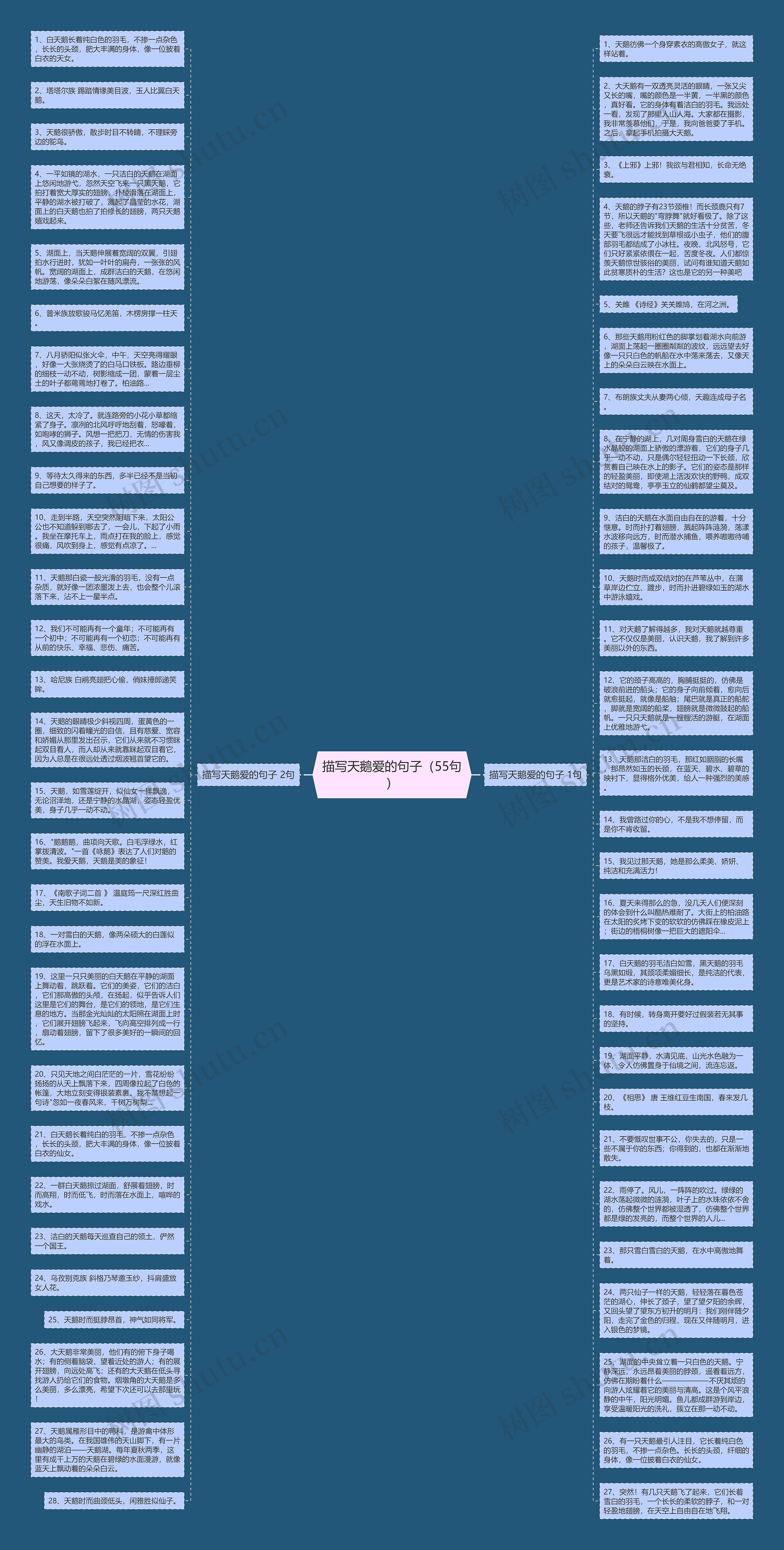 描写天鹅爱的句子（55句）思维导图