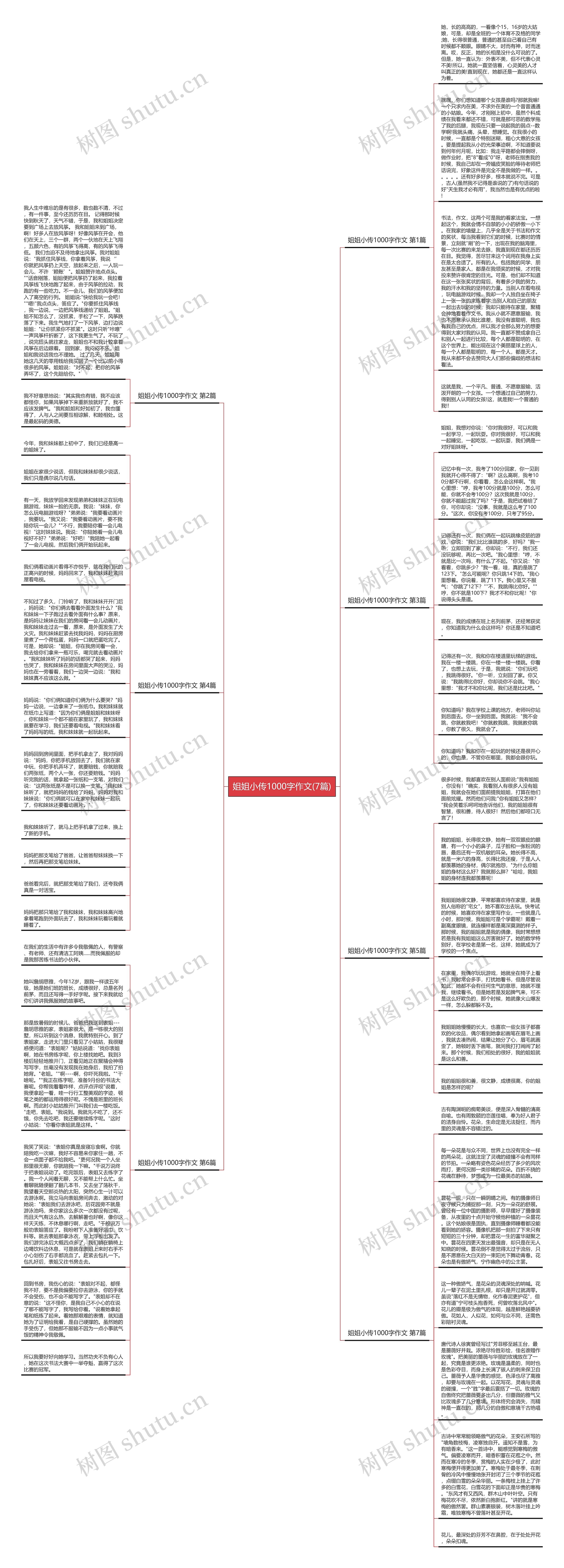 姐姐小传1000字作文(7篇)思维导图