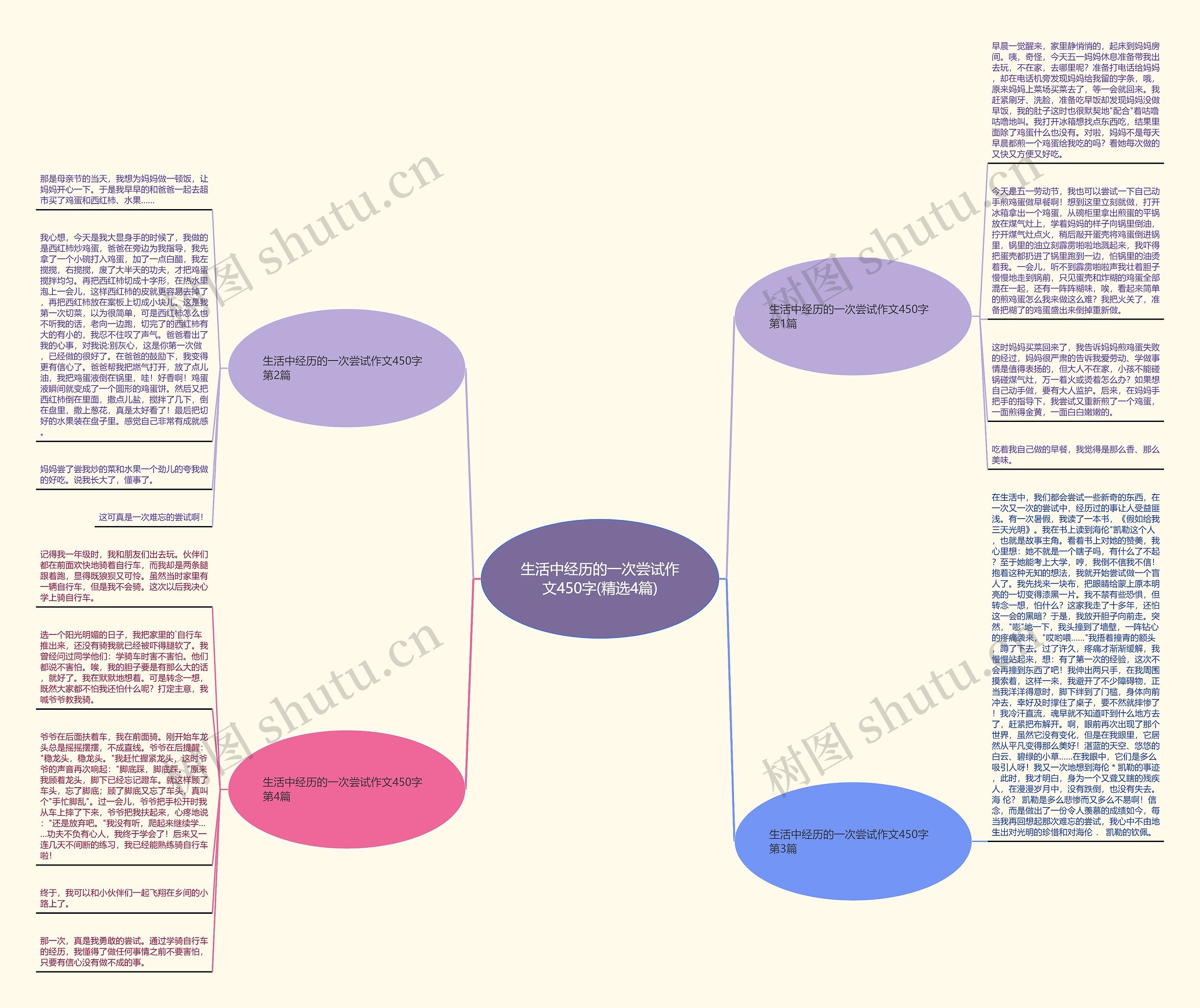 生活中经历的一次尝试作文450字(精选4篇)思维导图