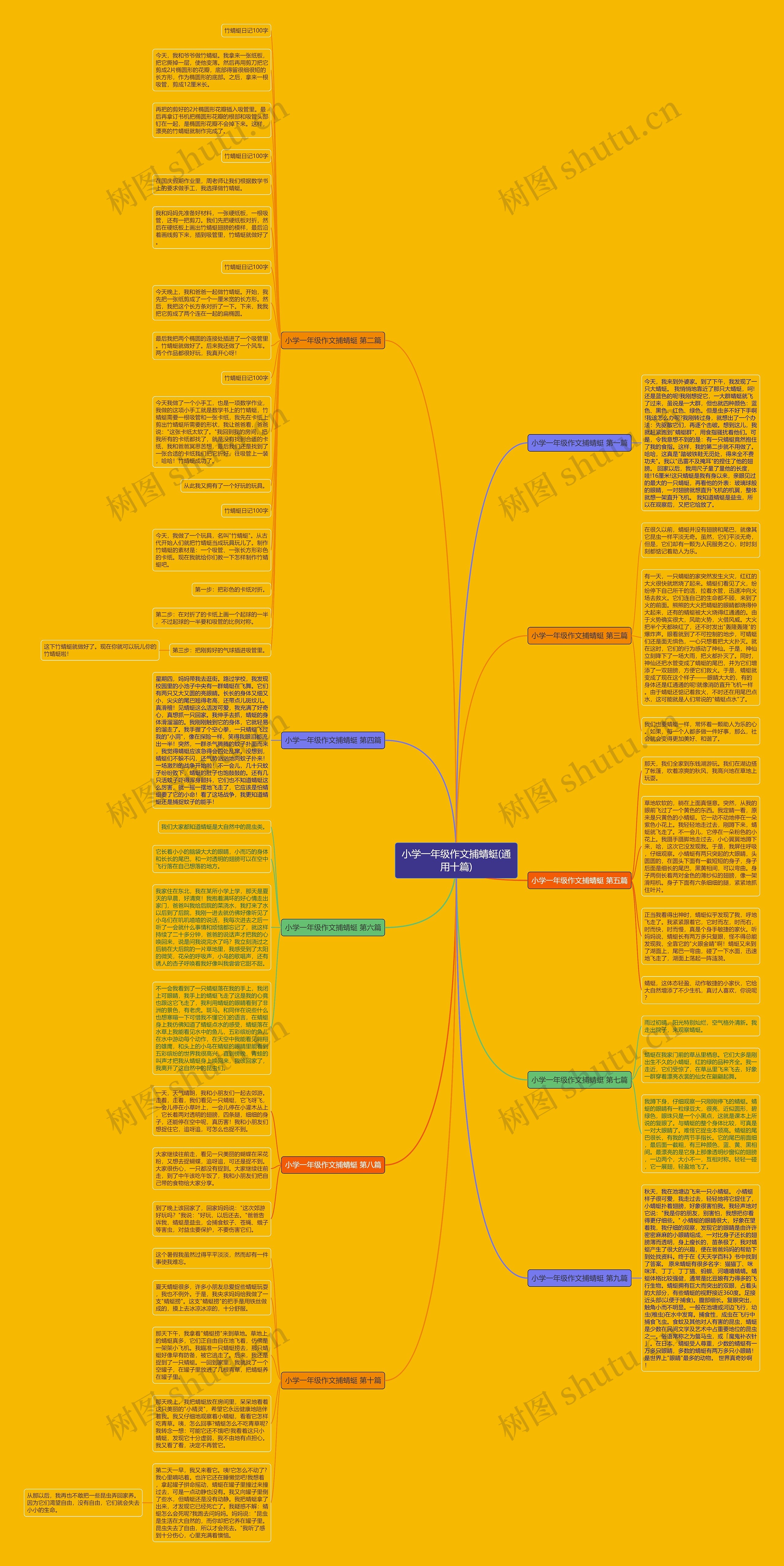 小学一年级作文捕蜻蜓(通用十篇)思维导图