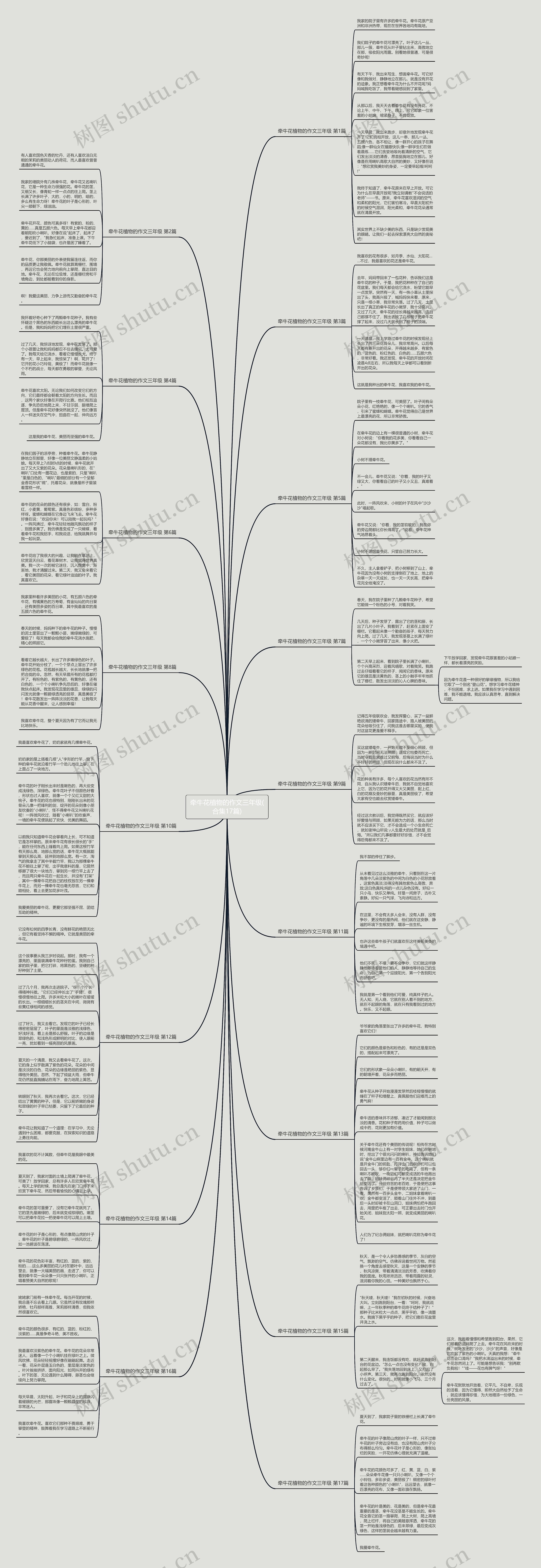 牵牛花植物的作文三年级(合集17篇)思维导图