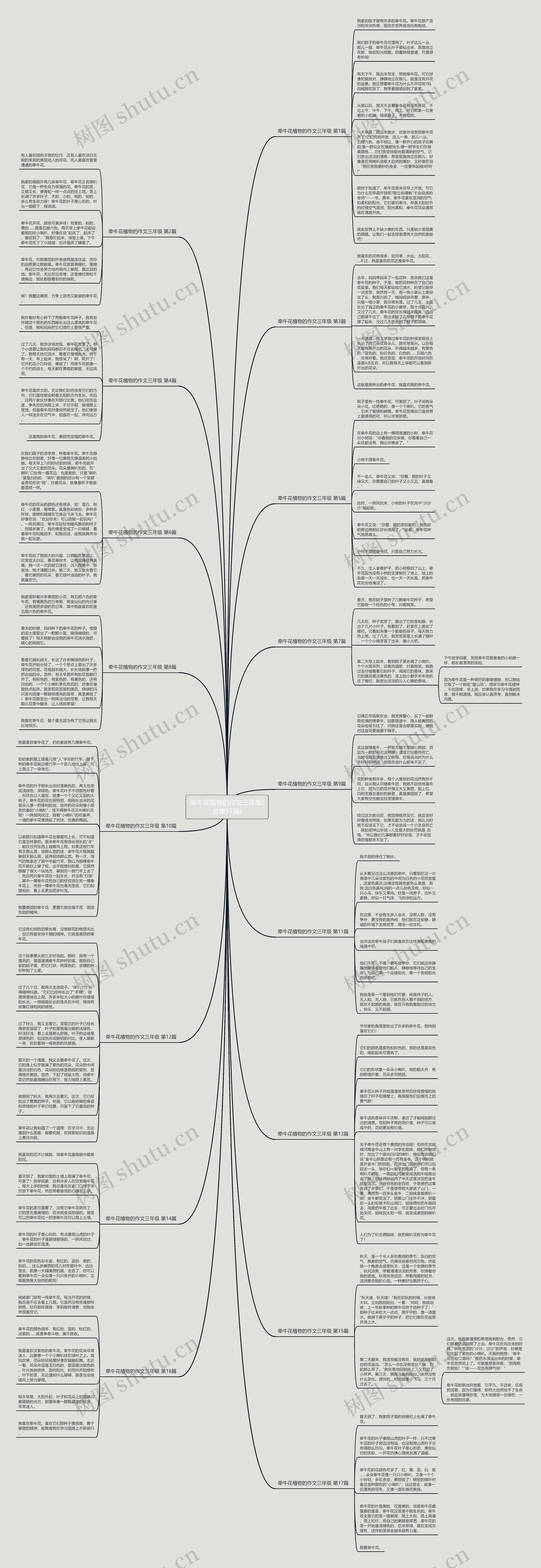 牵牛花植物的作文三年级(合集17篇) 牵牛花植物的作文三年级(合集17篇)