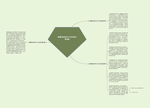 新疆法制政府工作总结(必备3篇)